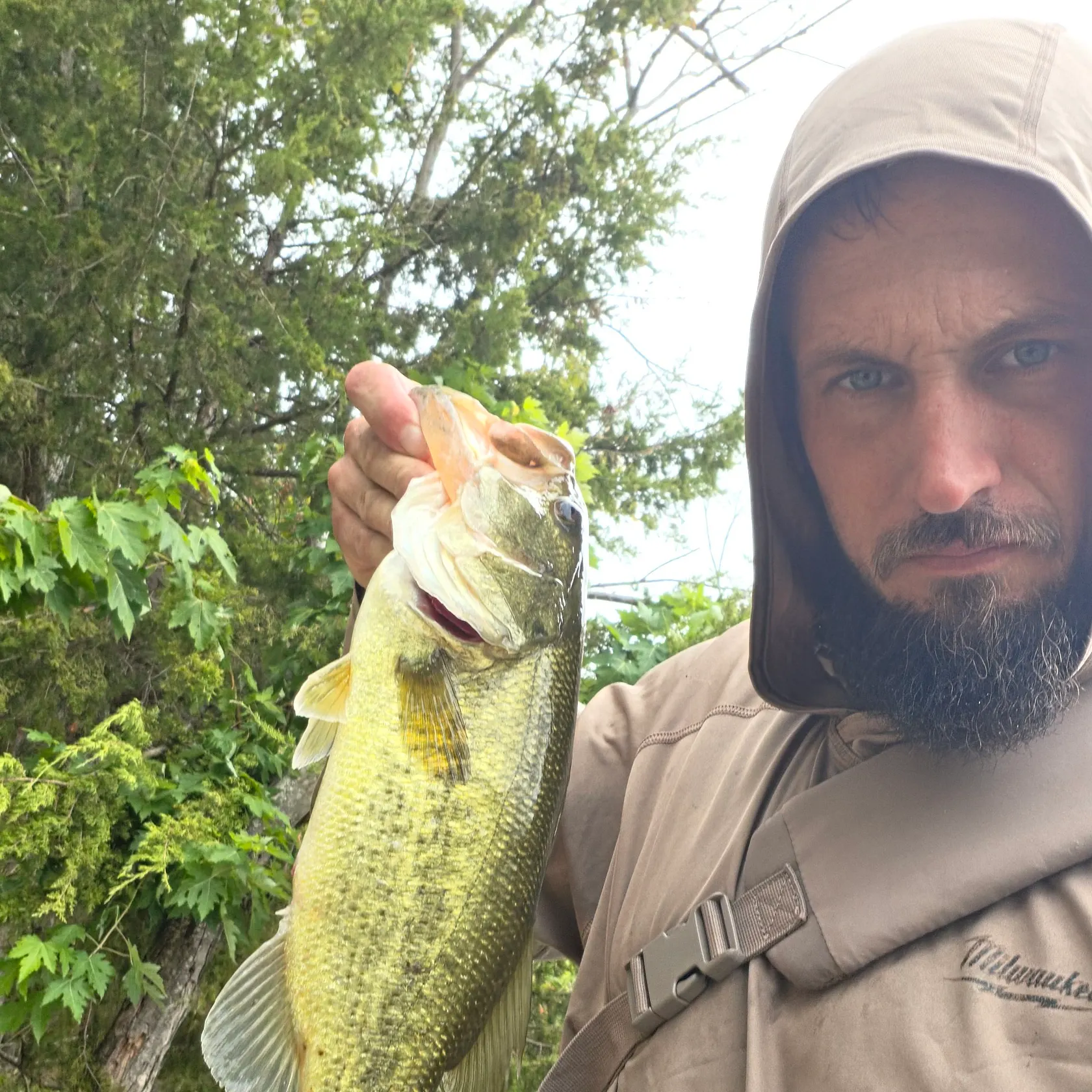 Largemouth bass caught on Fishbrain