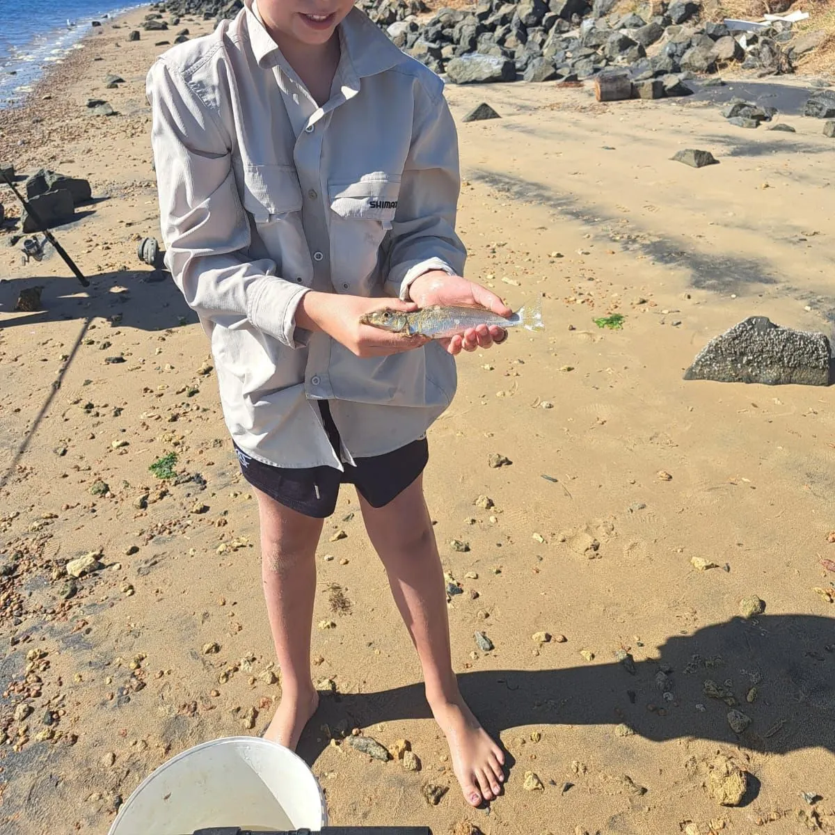 Sand sillago caught on Fishbrain