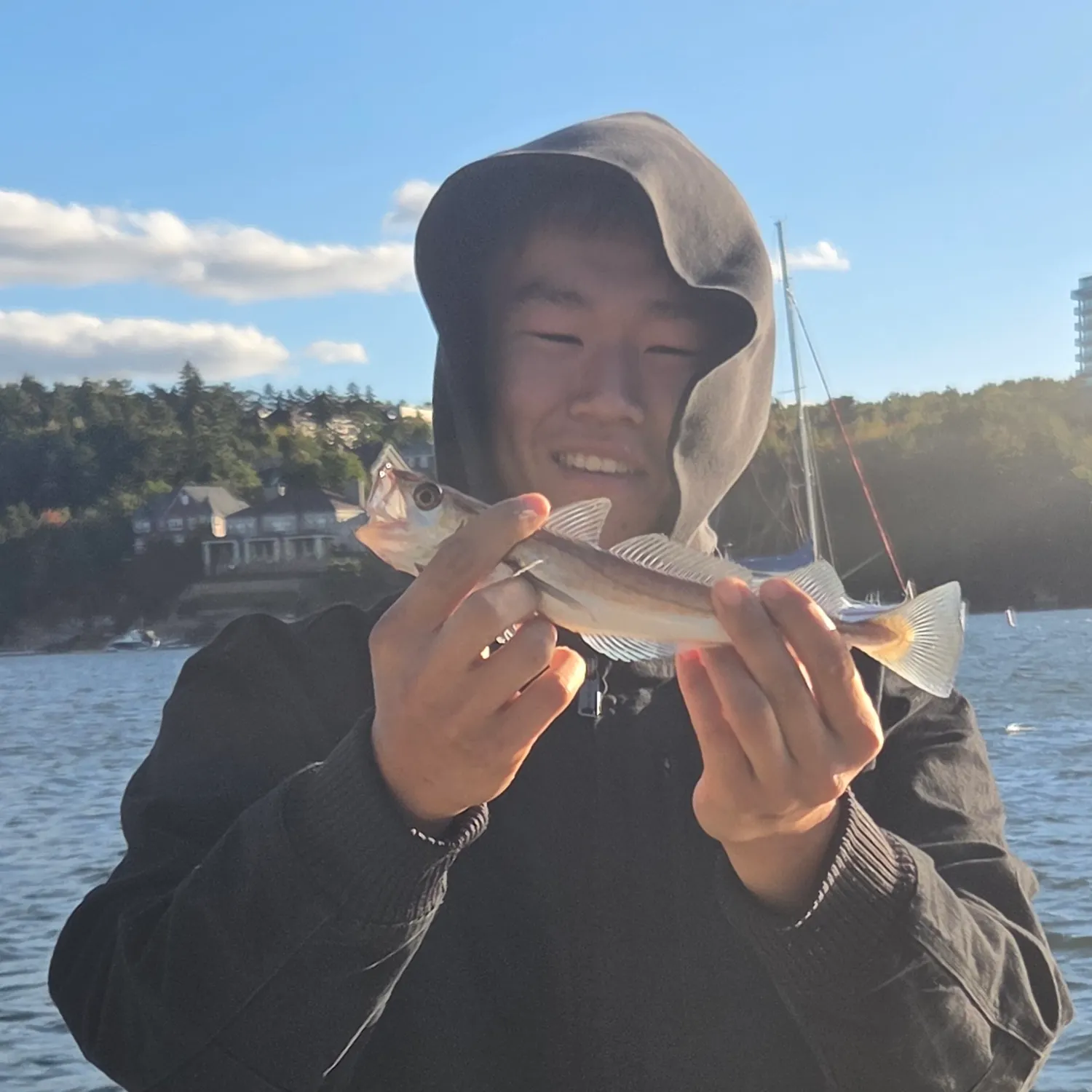 Whiting caught on Fishbrain