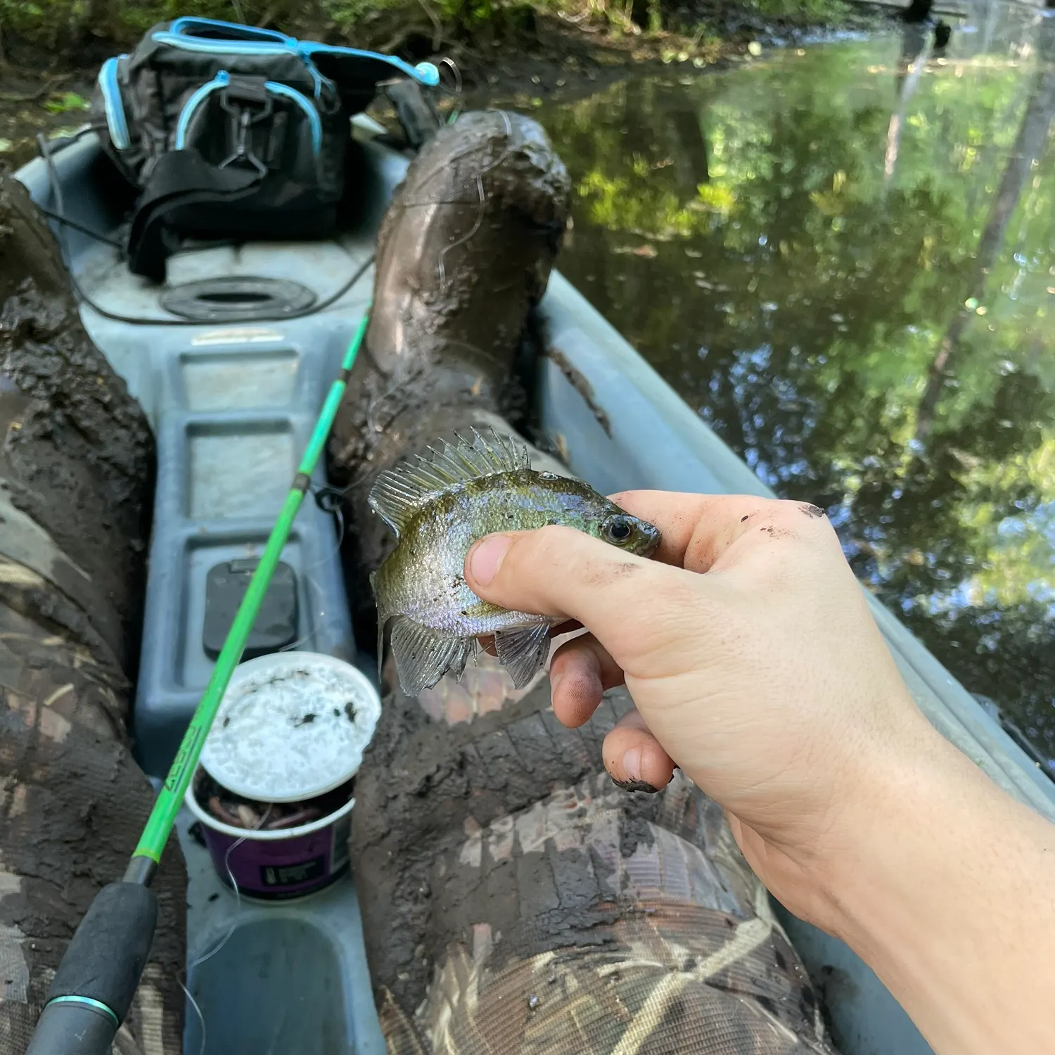 The most recent Flier catches on Fishbrain