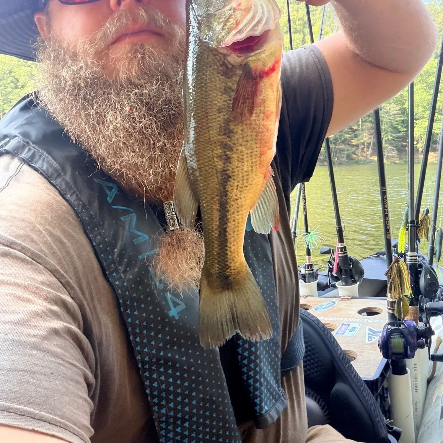 Largemouth bass caught on Fishbrain