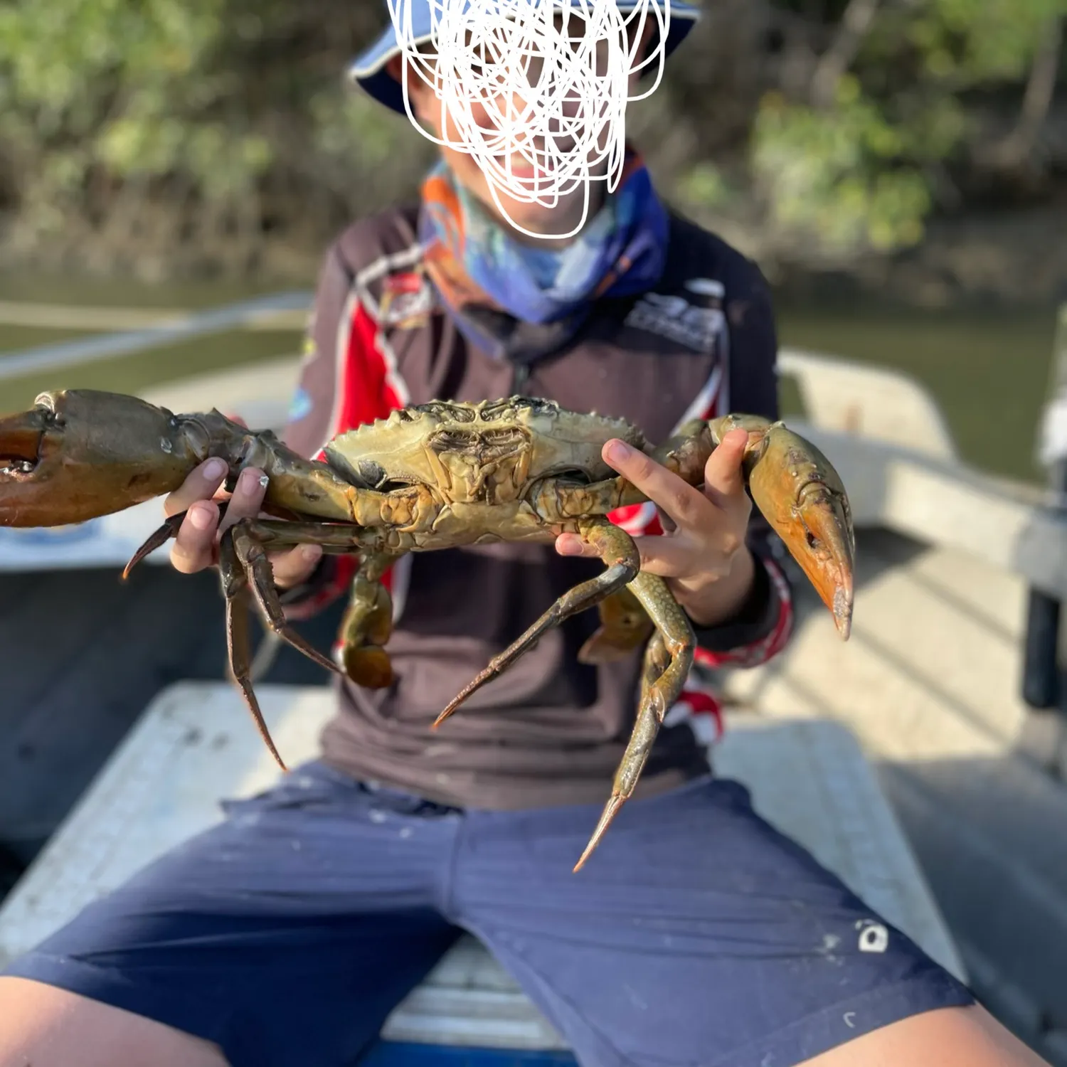 Giant mud crab caught on Fishbrain