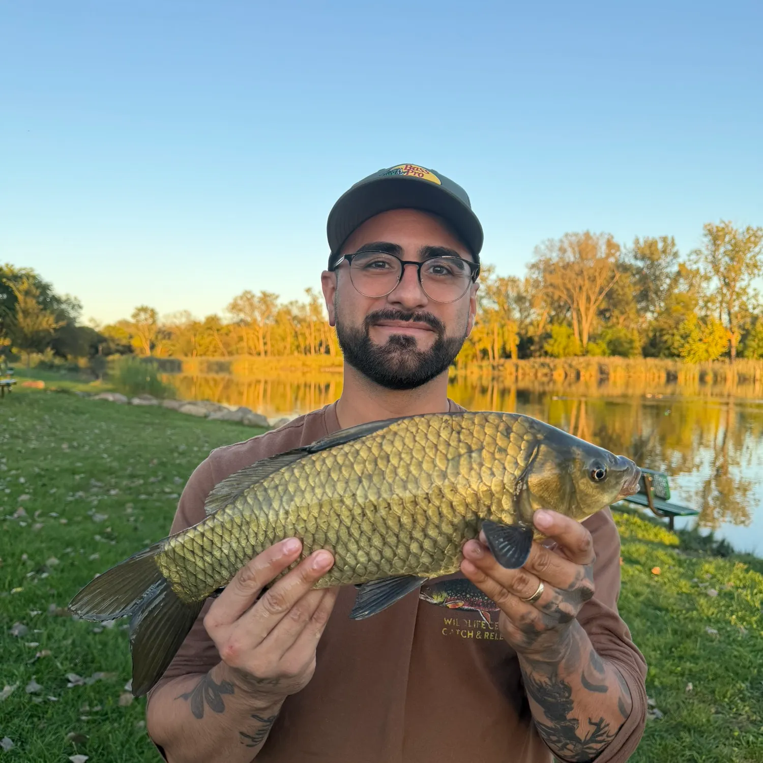 F1 carp caught on Fishbrain