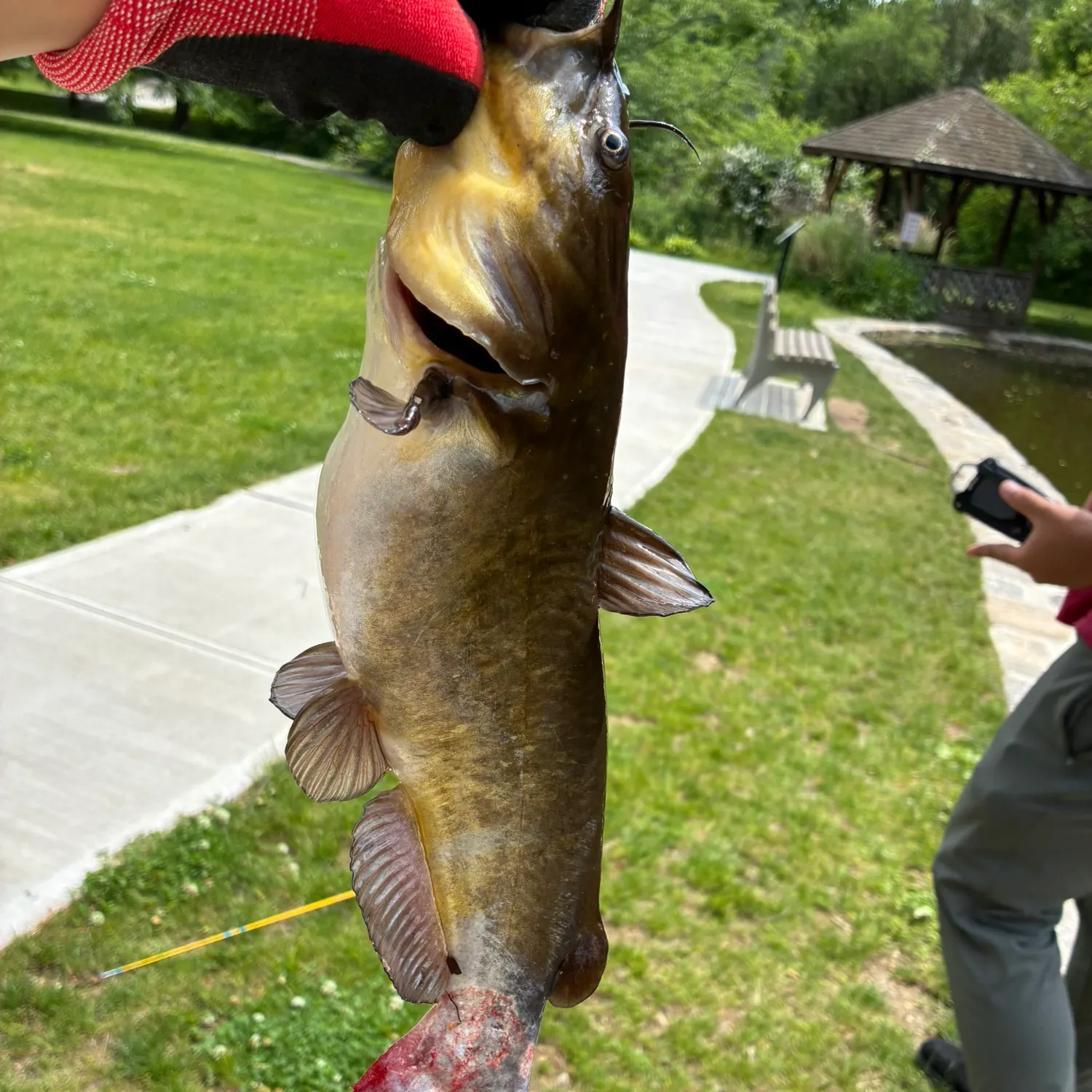 catch