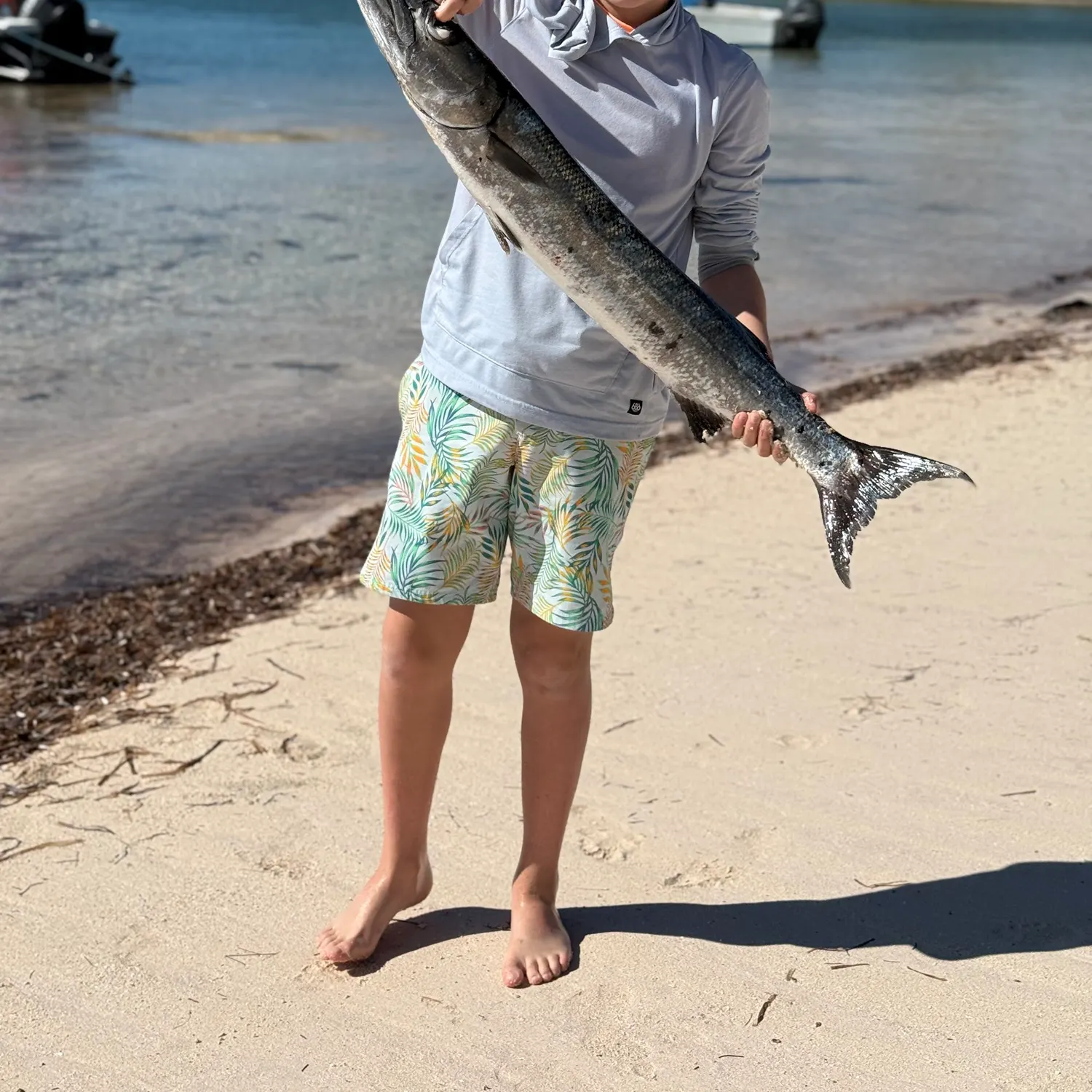 Great barracuda caught on Fishbrain