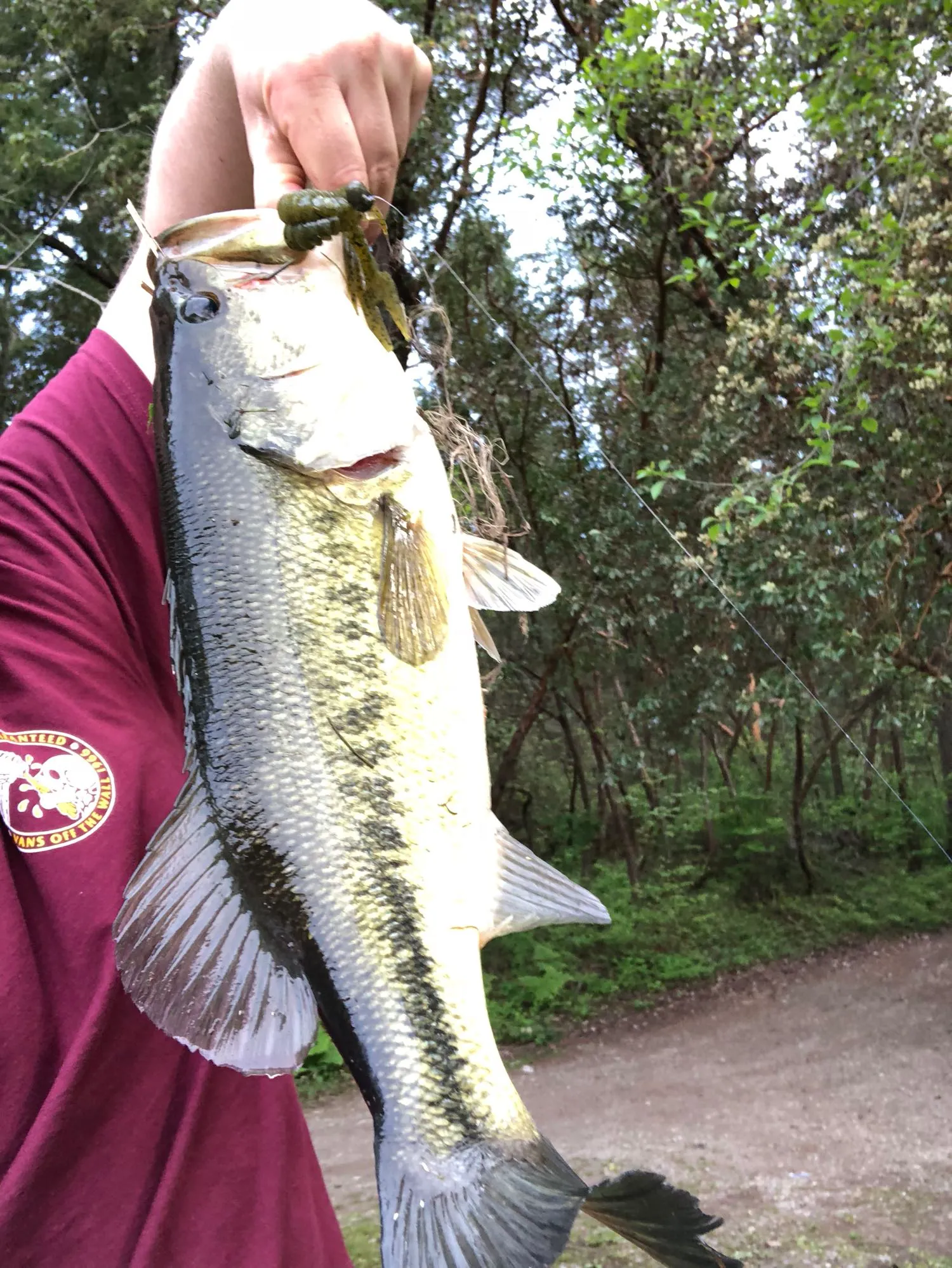 Post image from bbivins3897