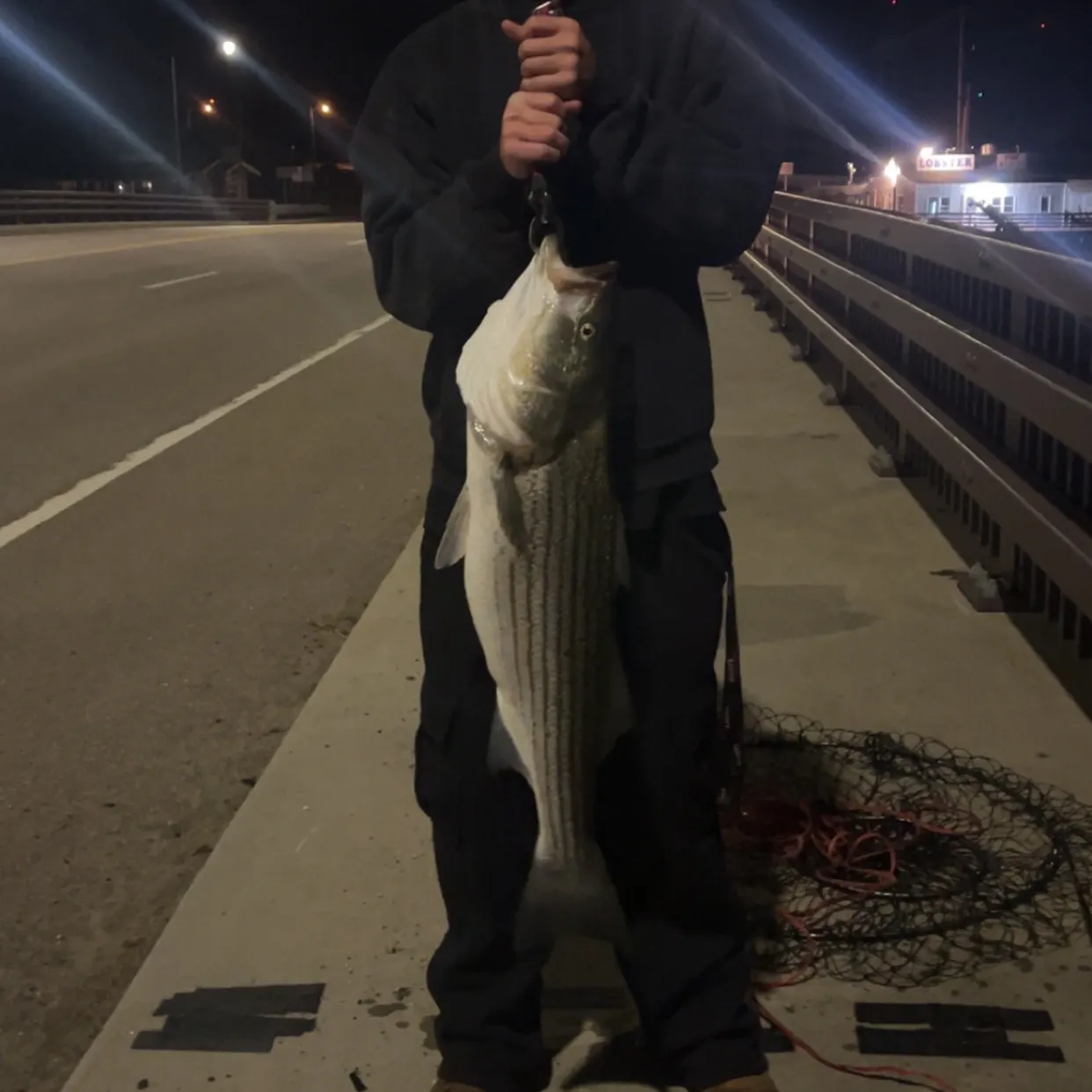 Striped bass caught on Fishbrain
