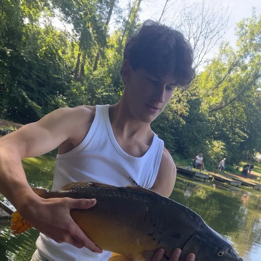 Leather carp caught on Fishbrain