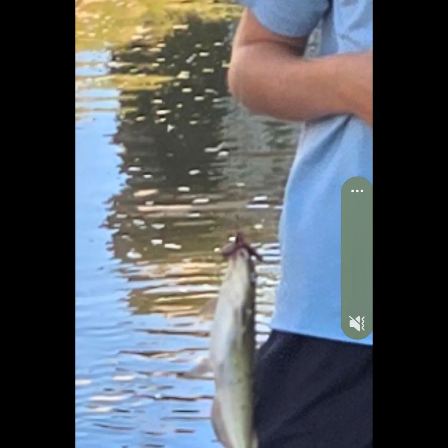 Channel catfish caught on Fishbrain
