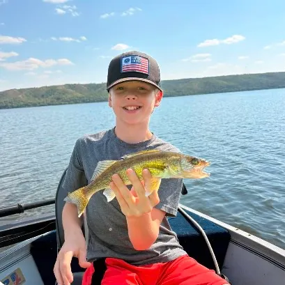 Walleye caught on Fishbrain