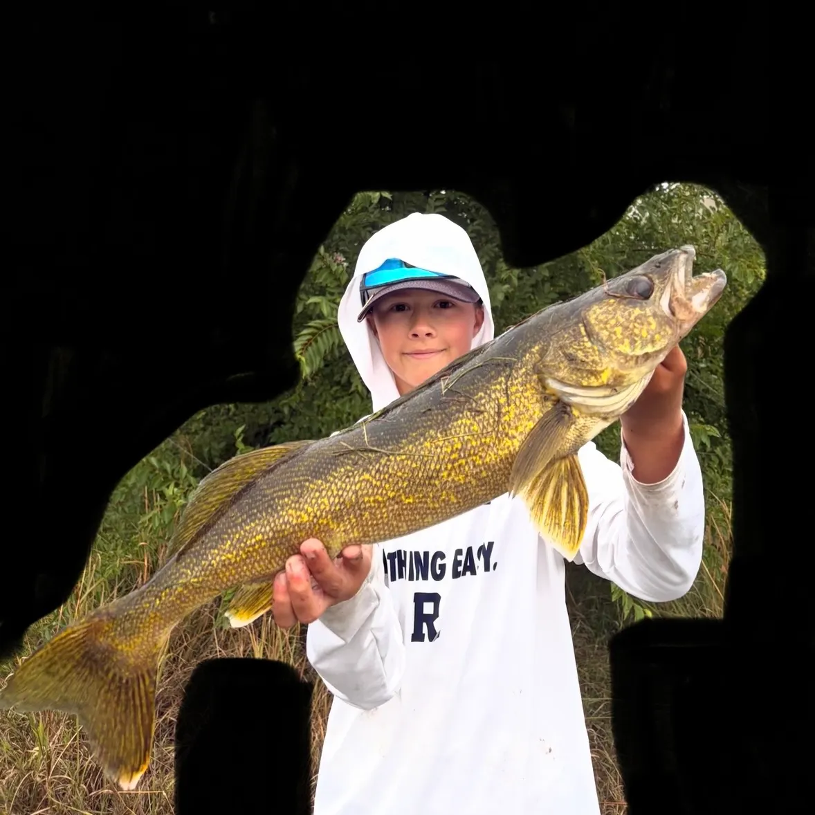 Walleye caught on Fishbrain