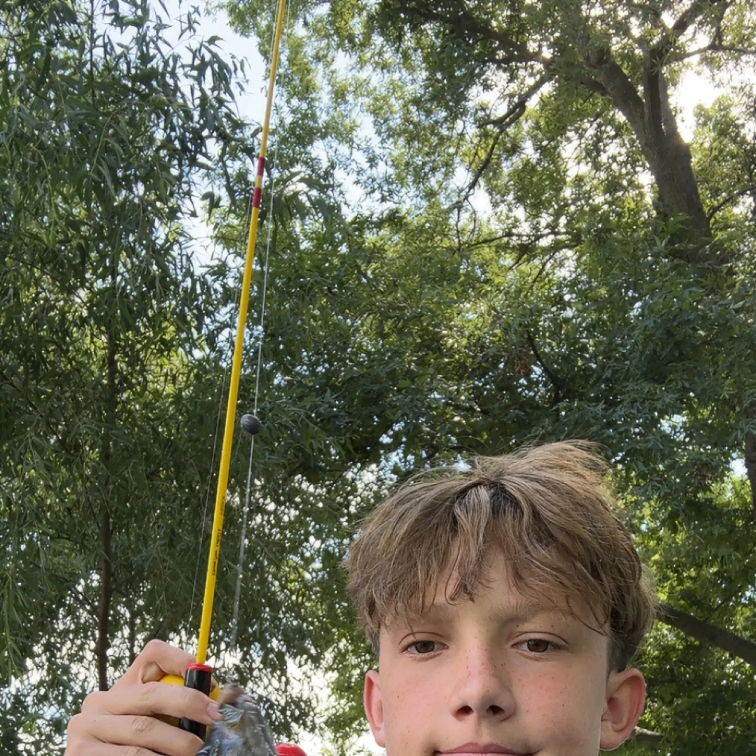 Green sunfish caught on Fishbrain