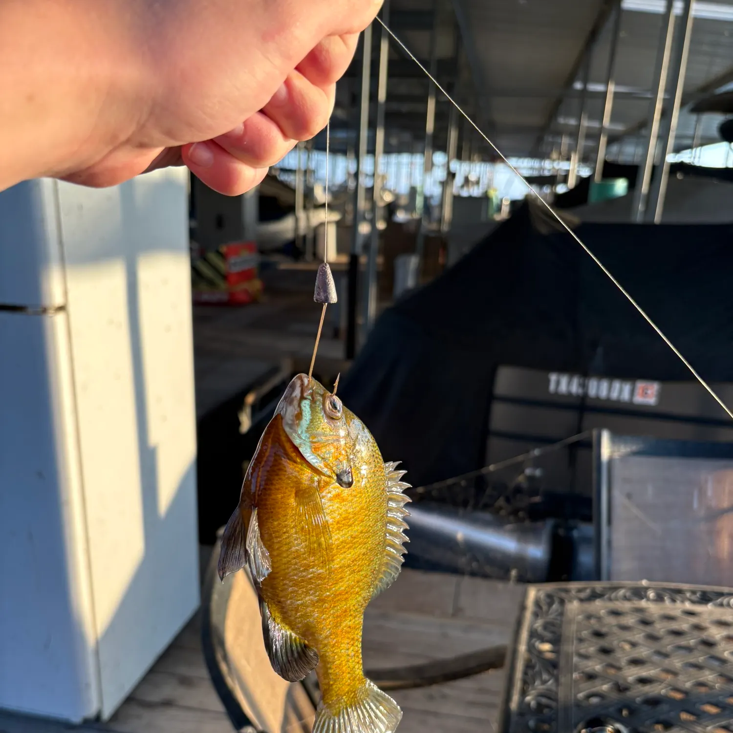 catch