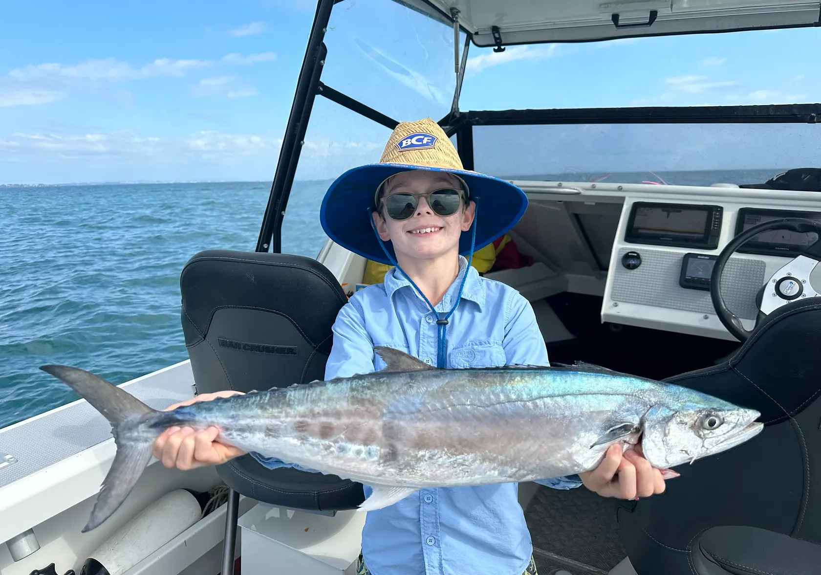 Australian spotted mackerel