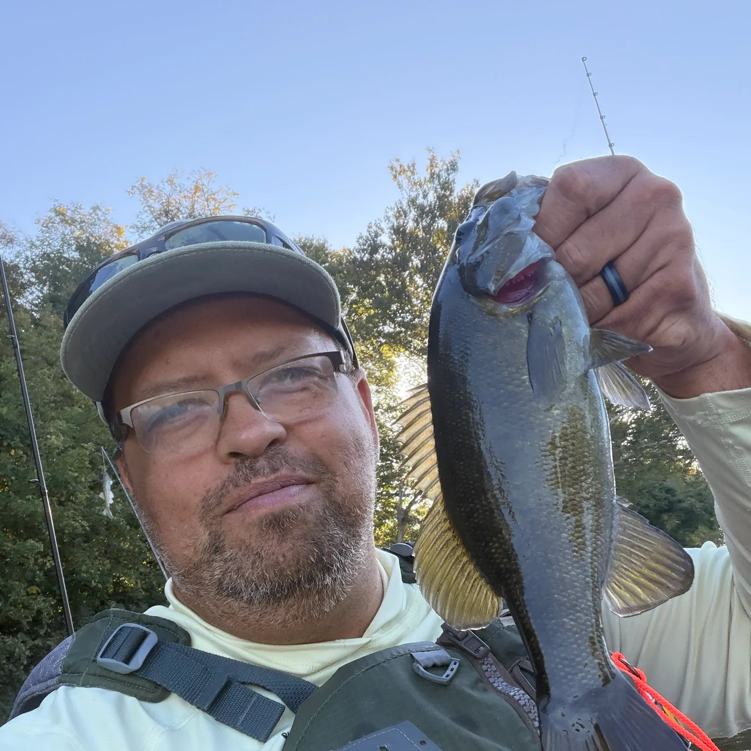 Smallmouth bass caught on Fishbrain