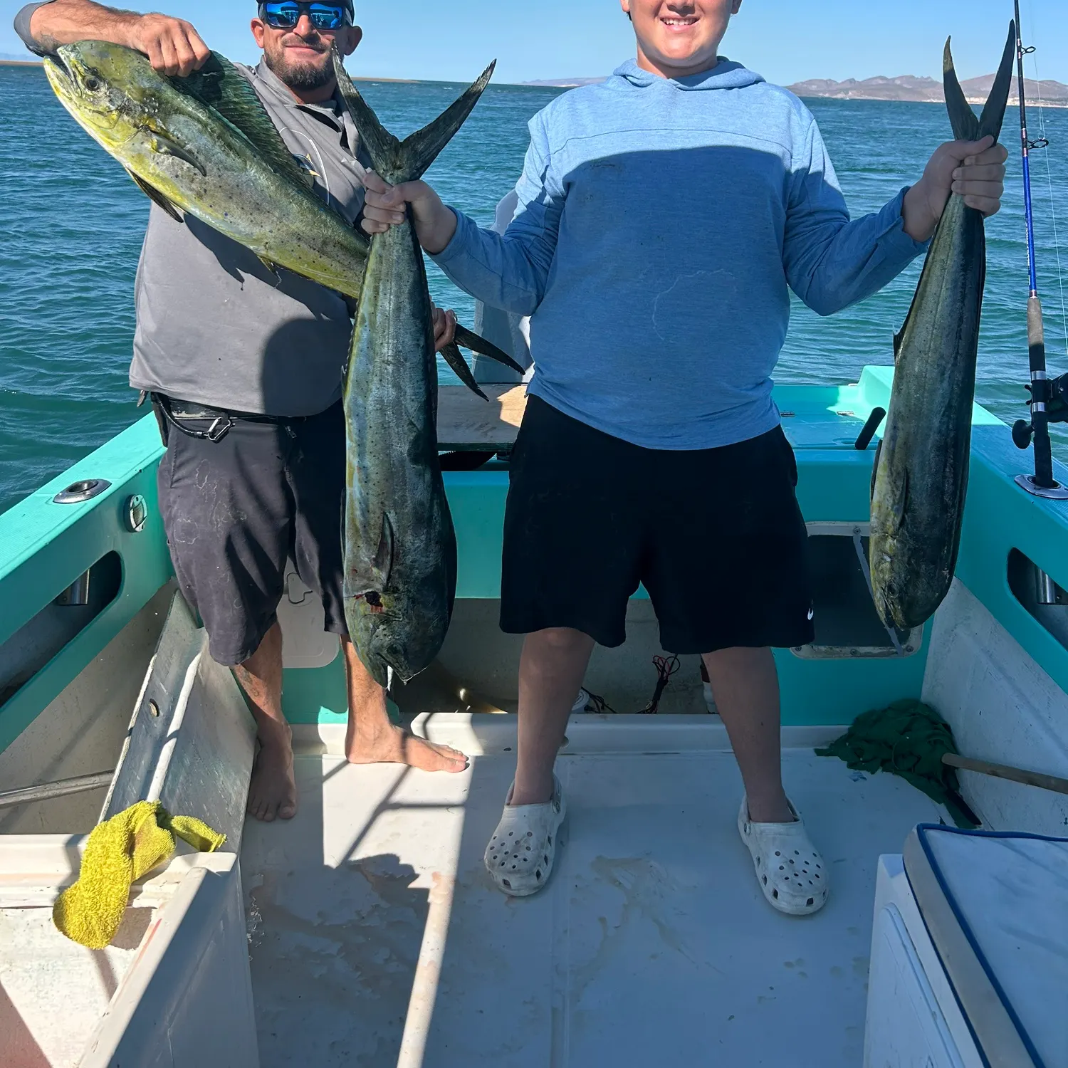 The most recent Common dolphinfish catches on Fishbrain