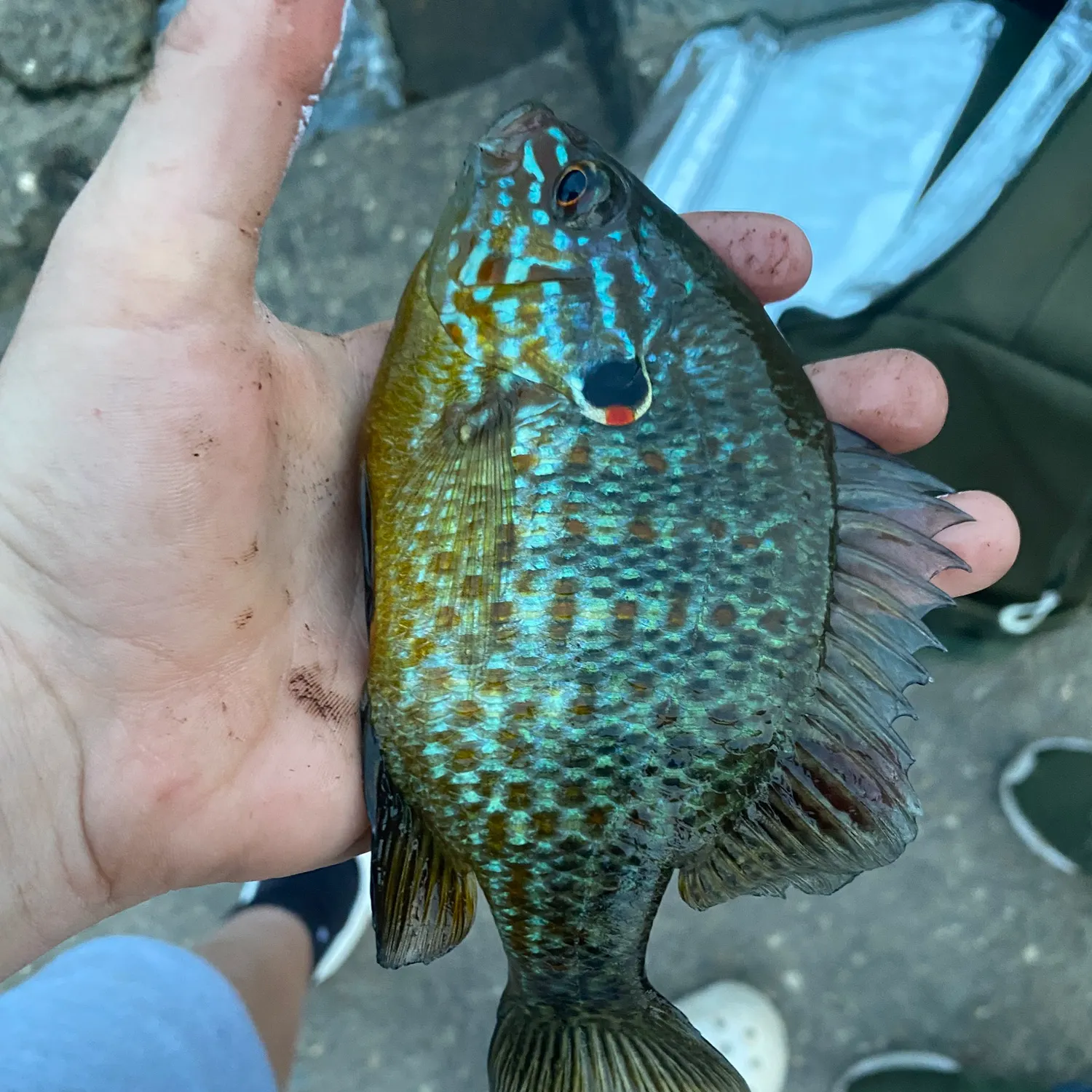 catch