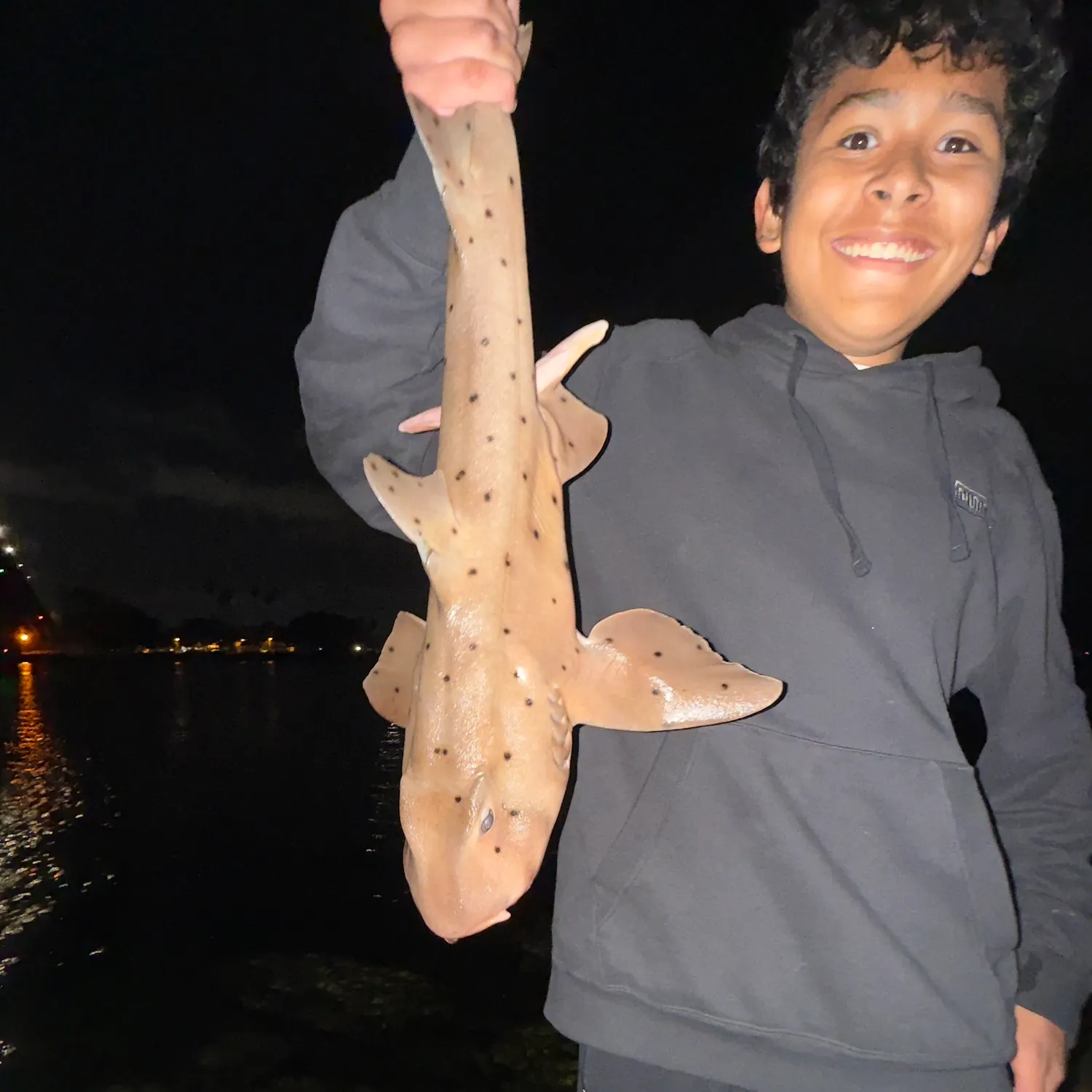 The most recent Horn shark catches on Fishbrain