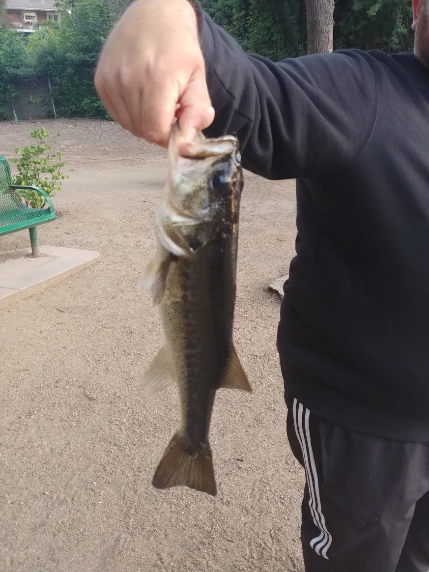 Post image from ElNightcrawler562