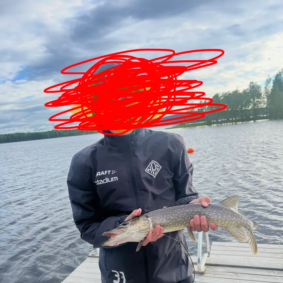 Northern pike caught on Fishbrain