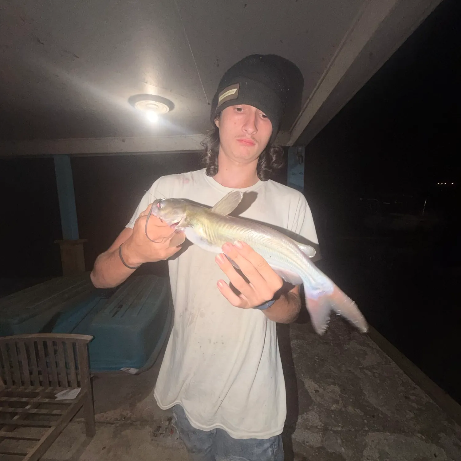 Channel catfish caught on Fishbrain