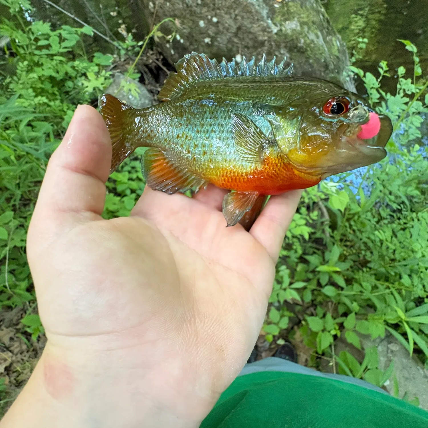catch
