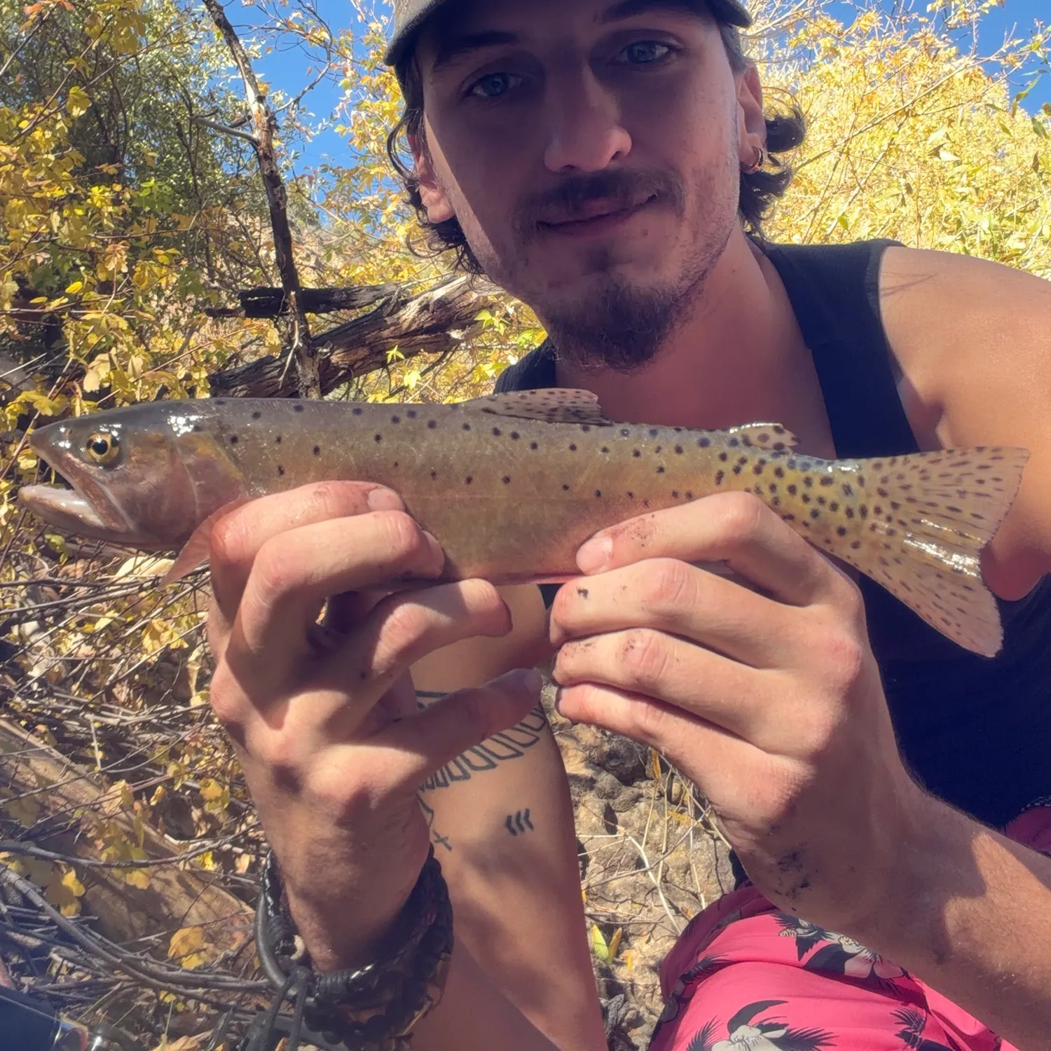 The most recent Bonneville cutthroat trout catches on Fishbrain