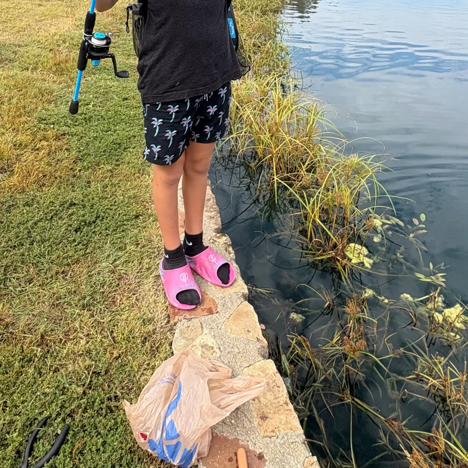 Fish caught on Fishbrain