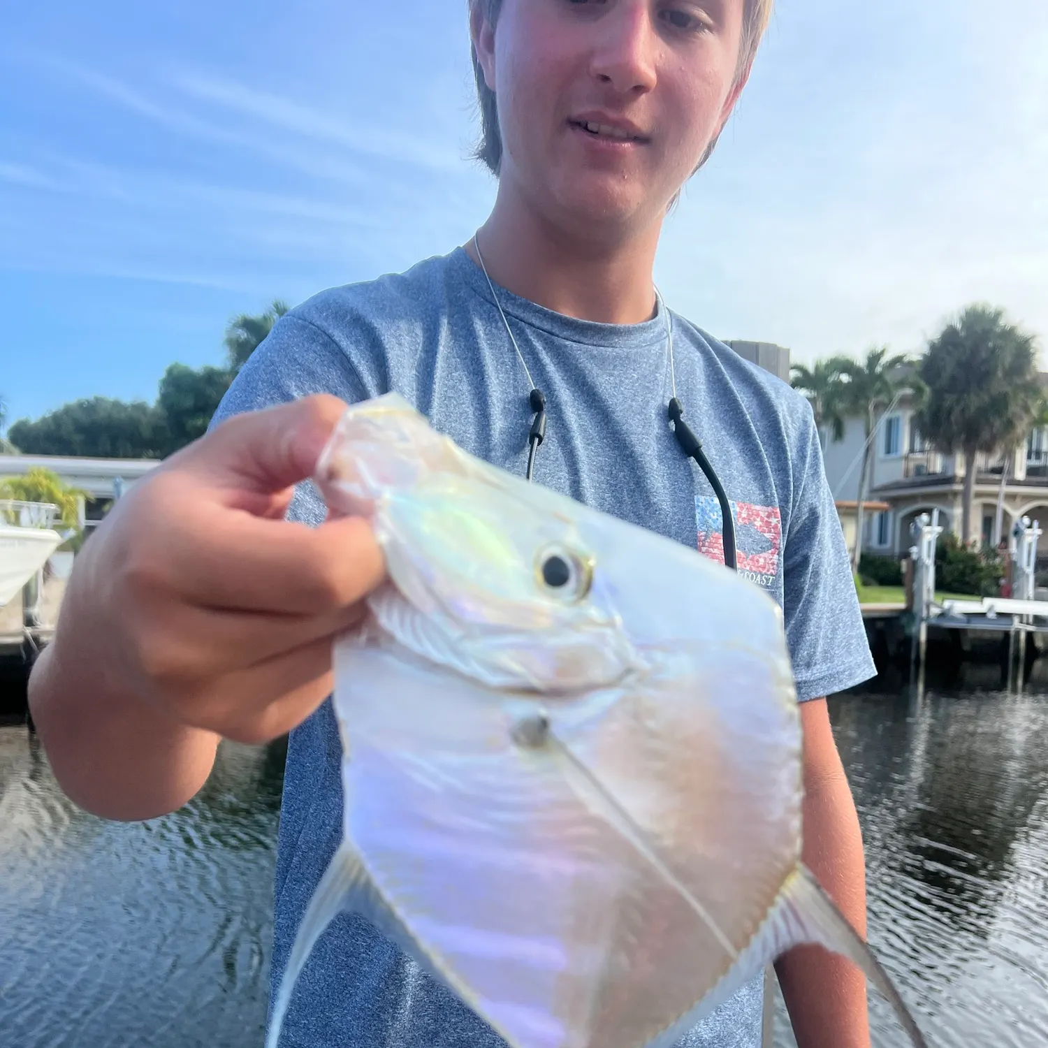 The most recent Lookdown catches on Fishbrain