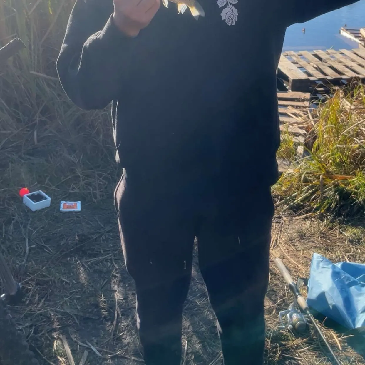 The most recent Prussian carp catches on Fishbrain