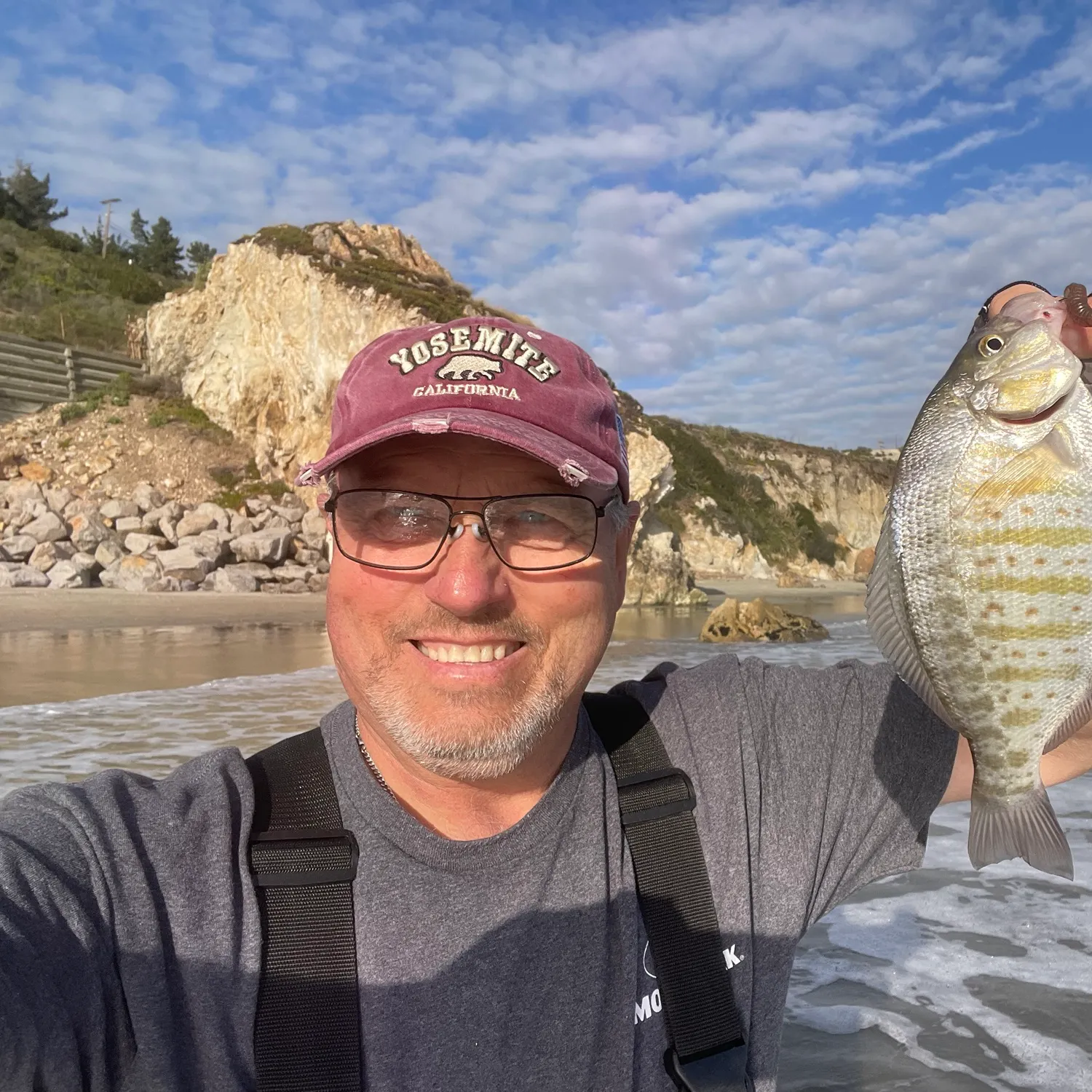 The most recent Barred surfperch catches on Fishbrain