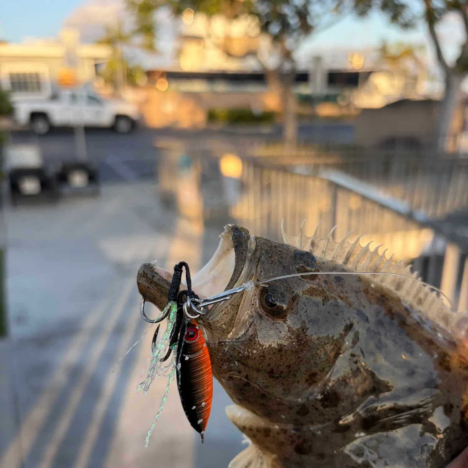 catch
