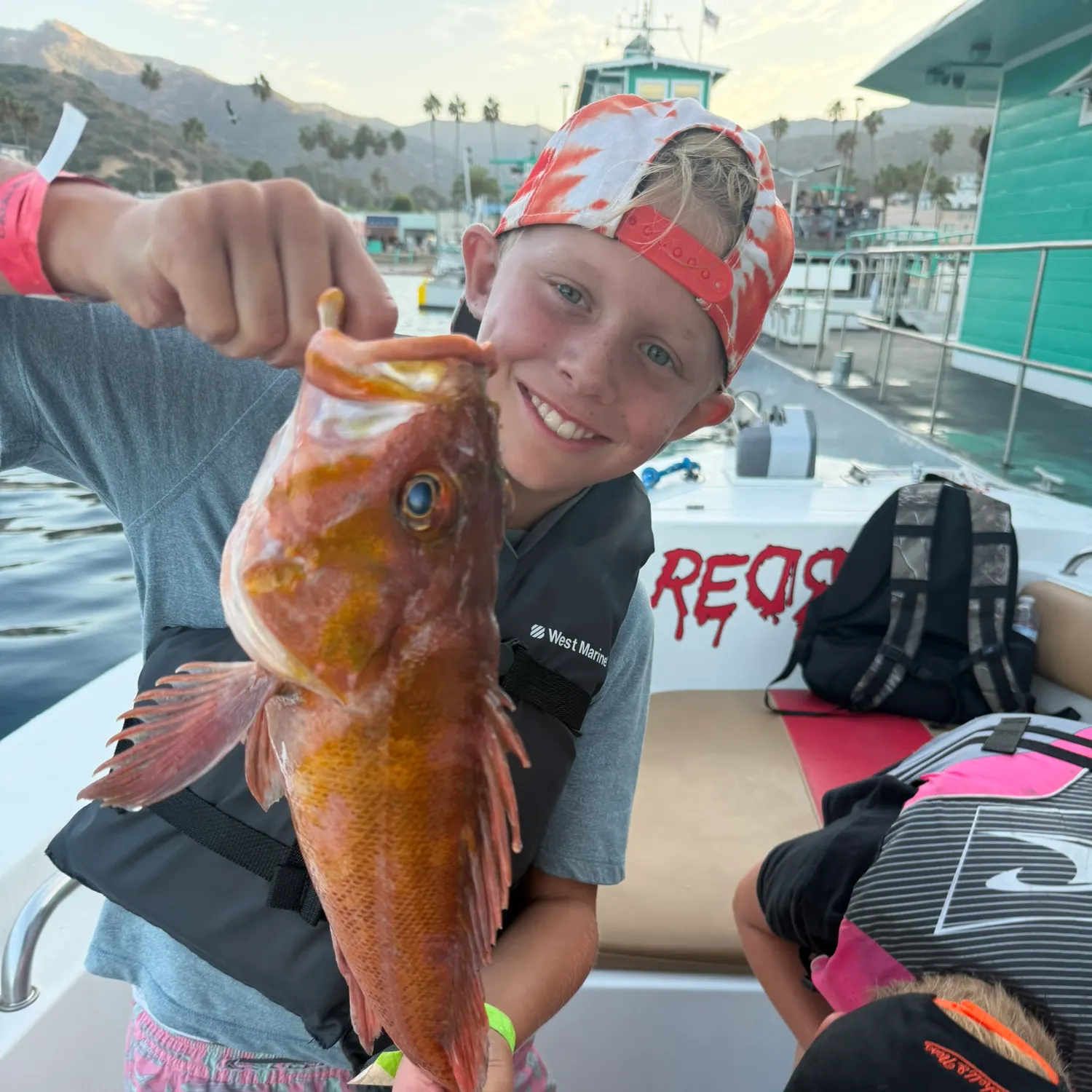 The most recent Copper rockfish catches on Fishbrain