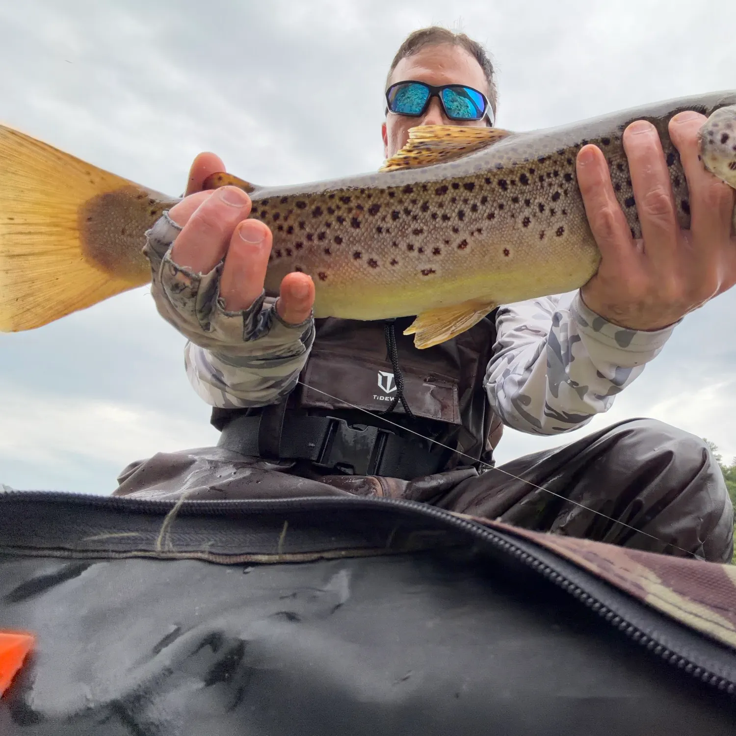 Brown trout caught on Fishbrain
