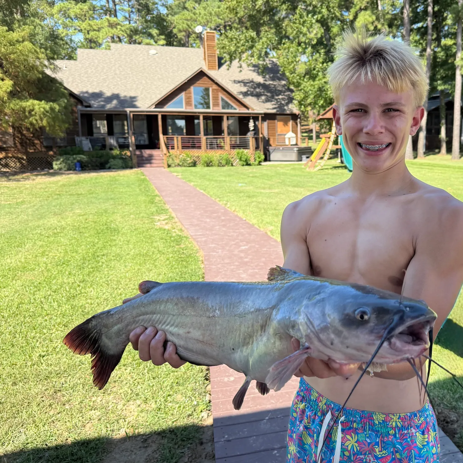 Blue catfish caught on Fishbrain