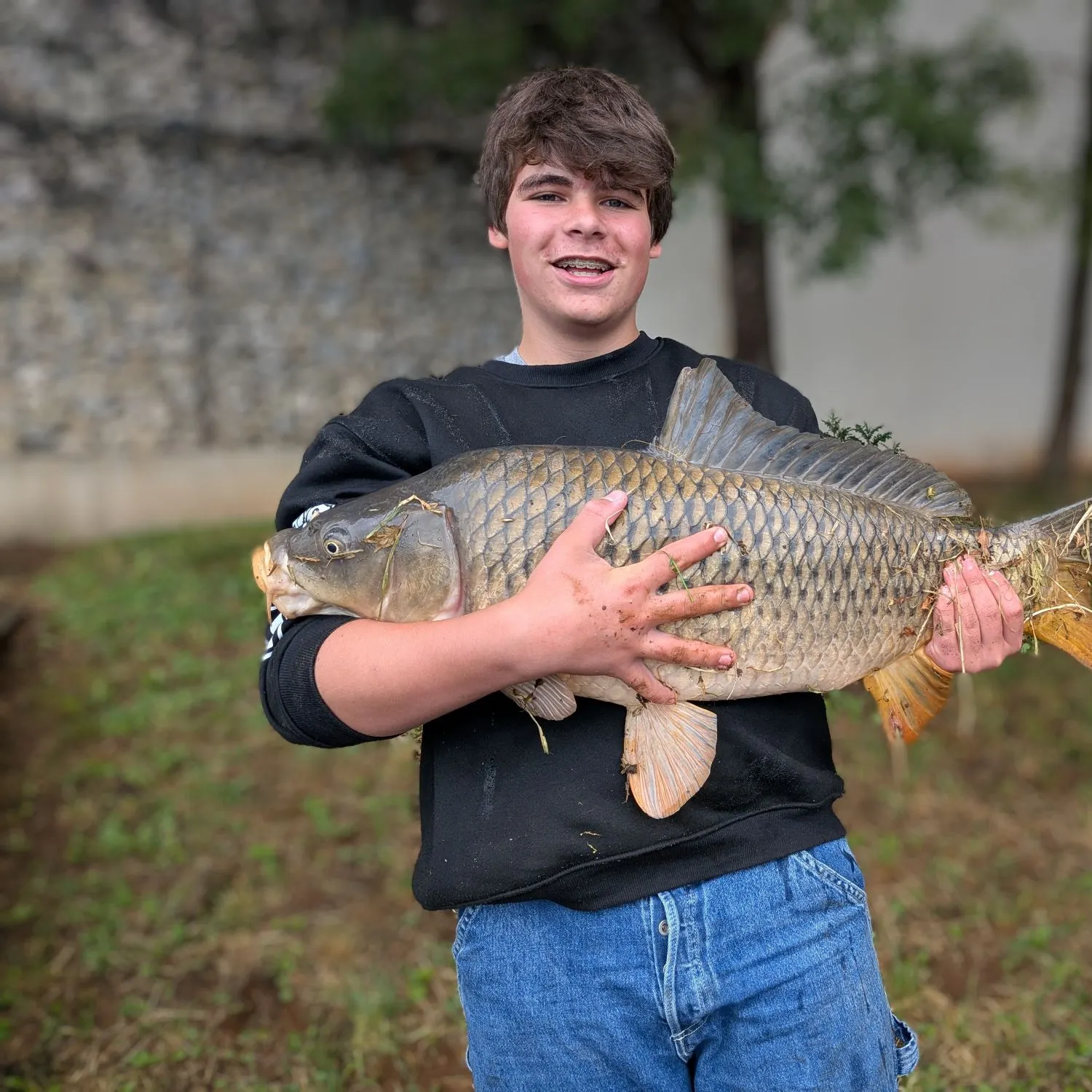 Common carp caught on Fishbrain