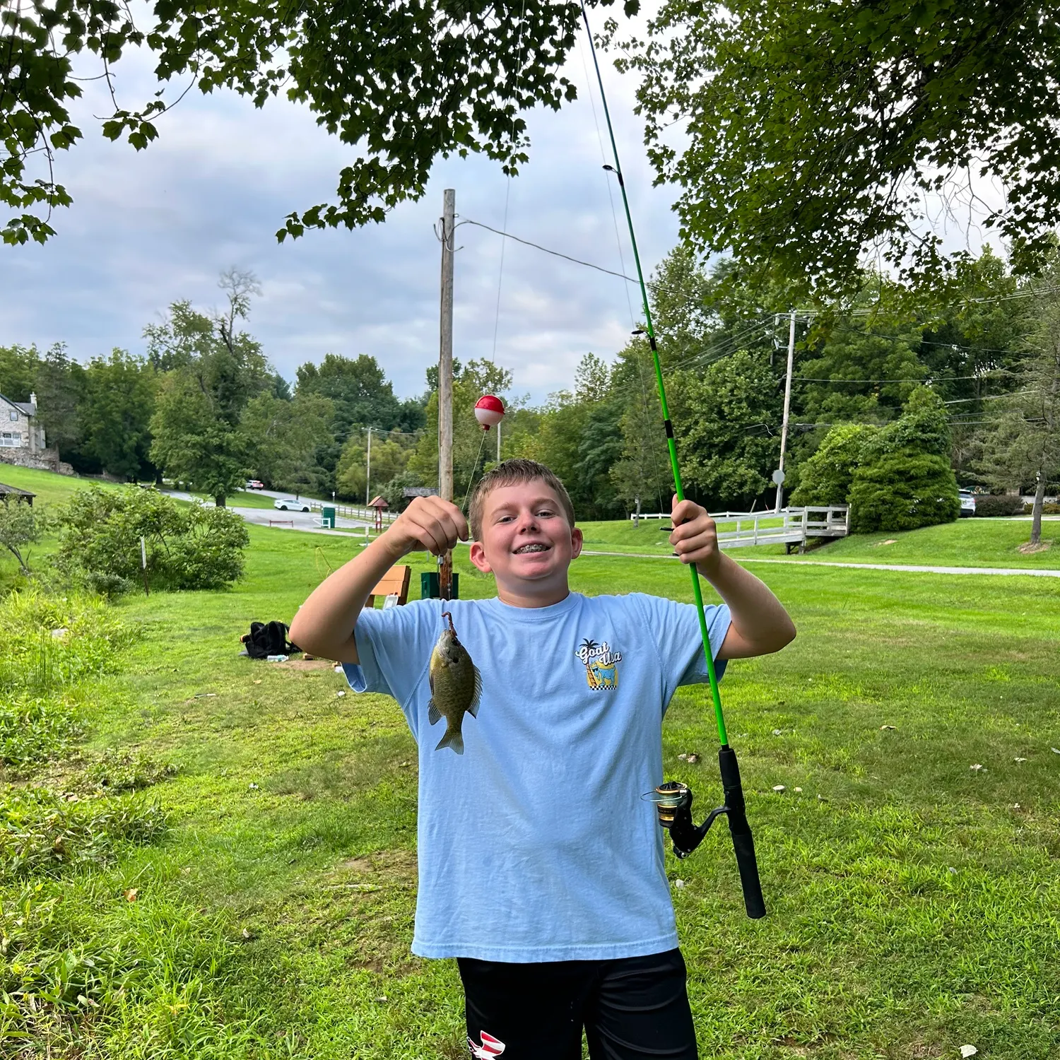 Bluegill caught on Fishbrain