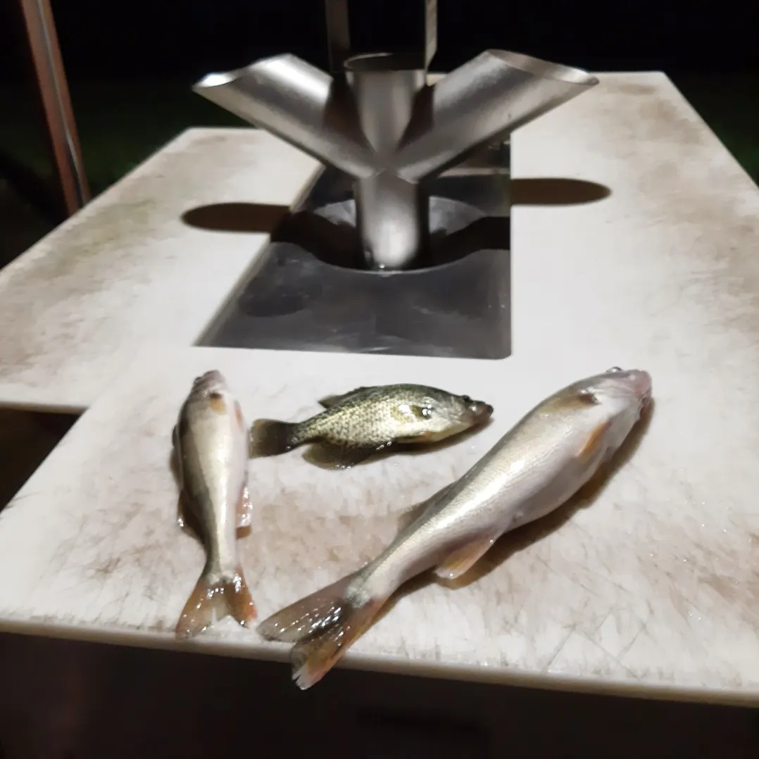 angler catch