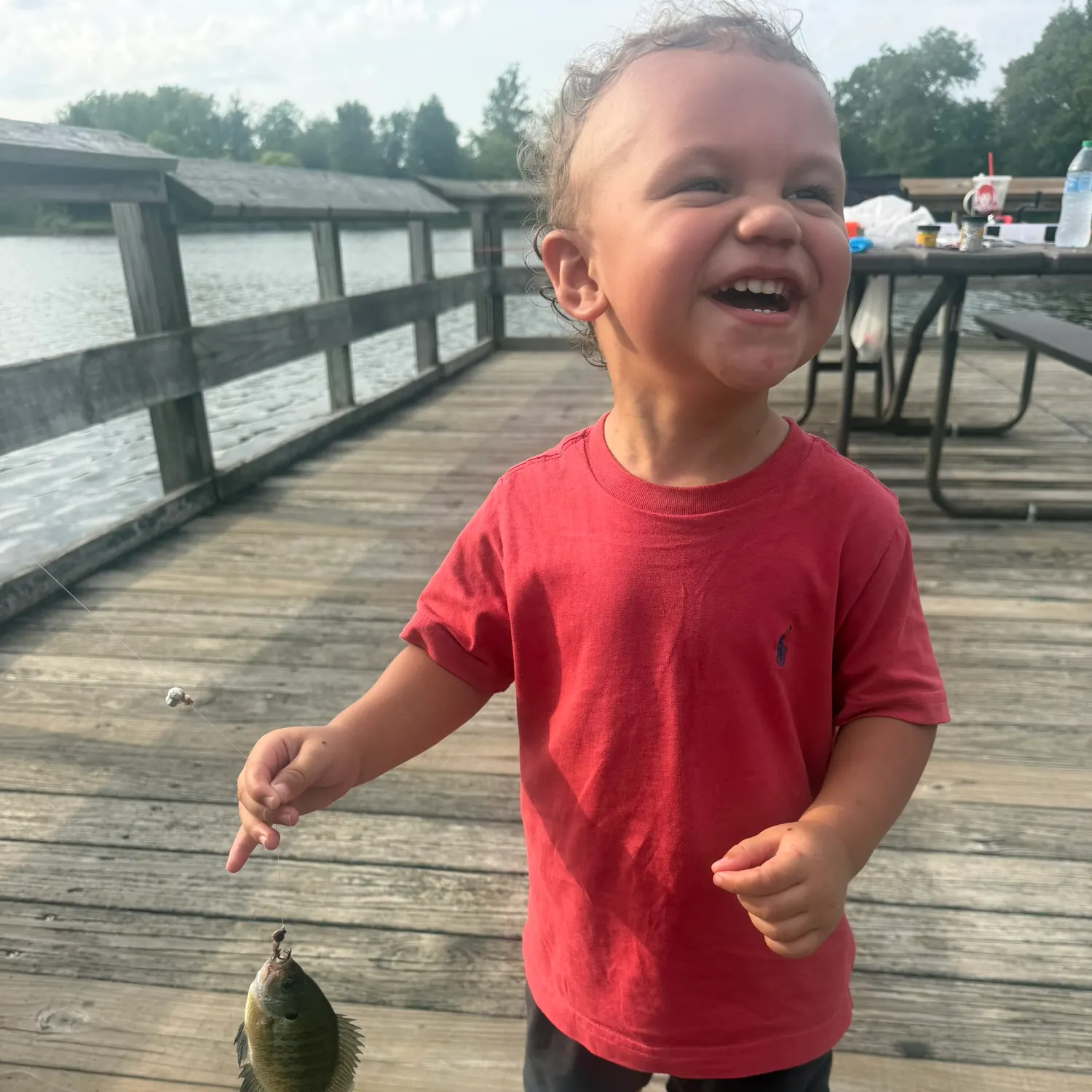 Bluegill caught on Fishbrain