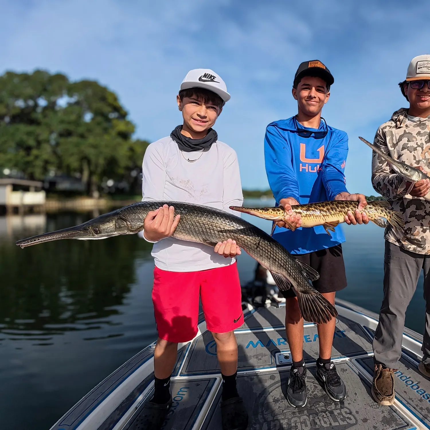The most recent Florida gar catches on Fishbrain