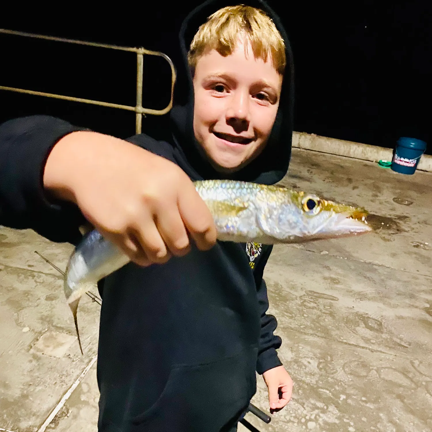 The most recent Australian barracuda catches on Fishbrain