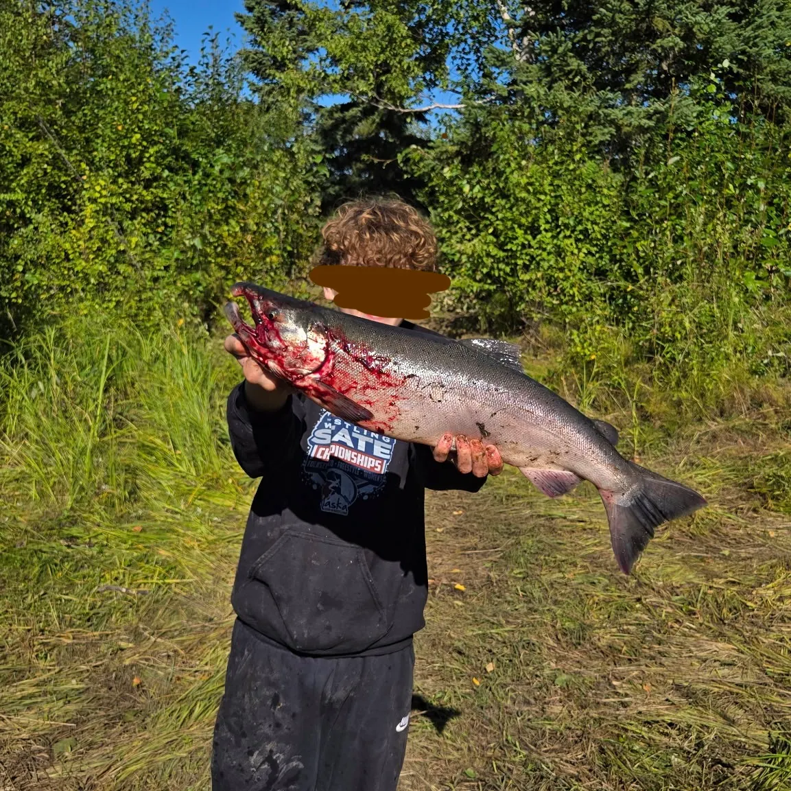 The most recent Chinook salmon catches on Fishbrain