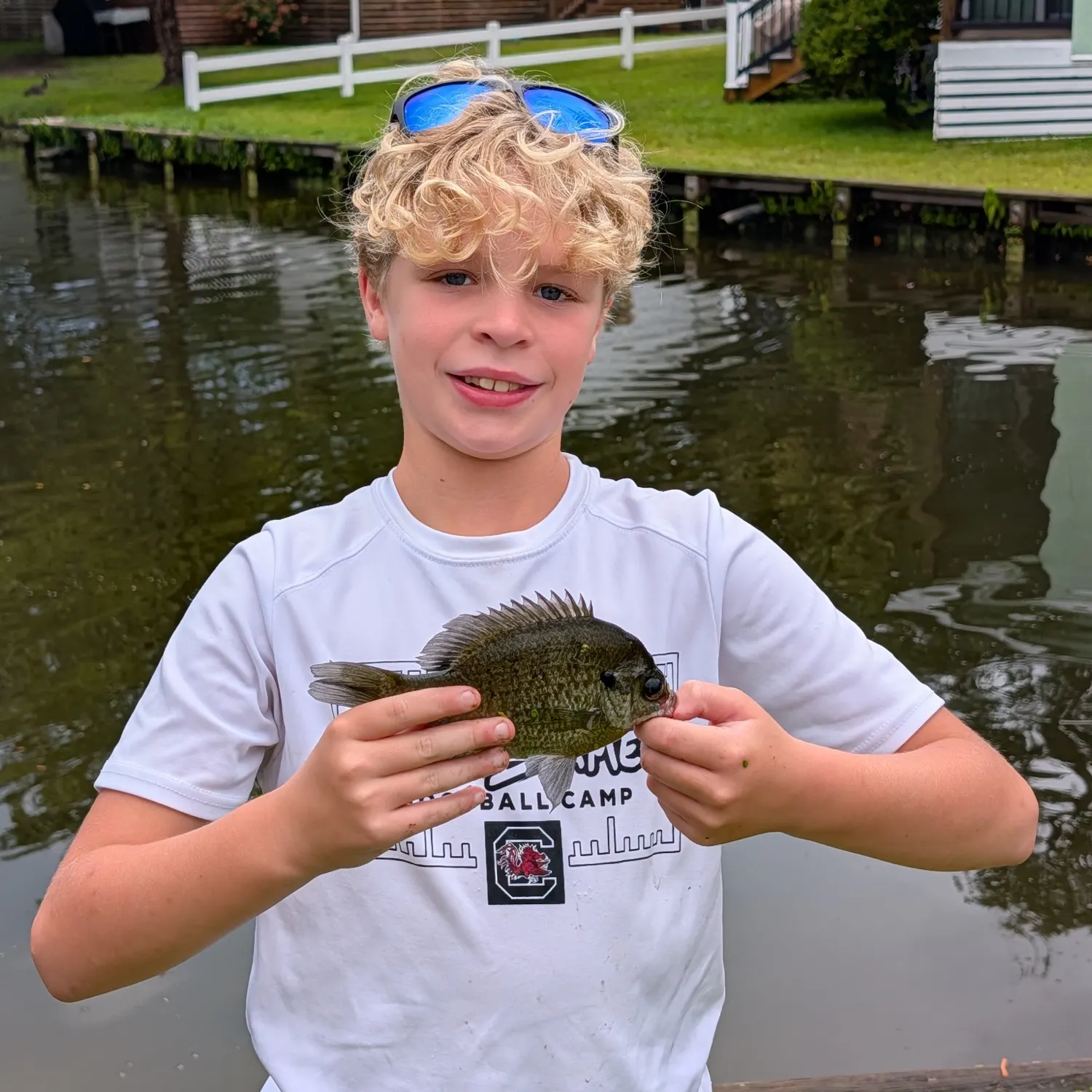 Bluegill caught on Fishbrain