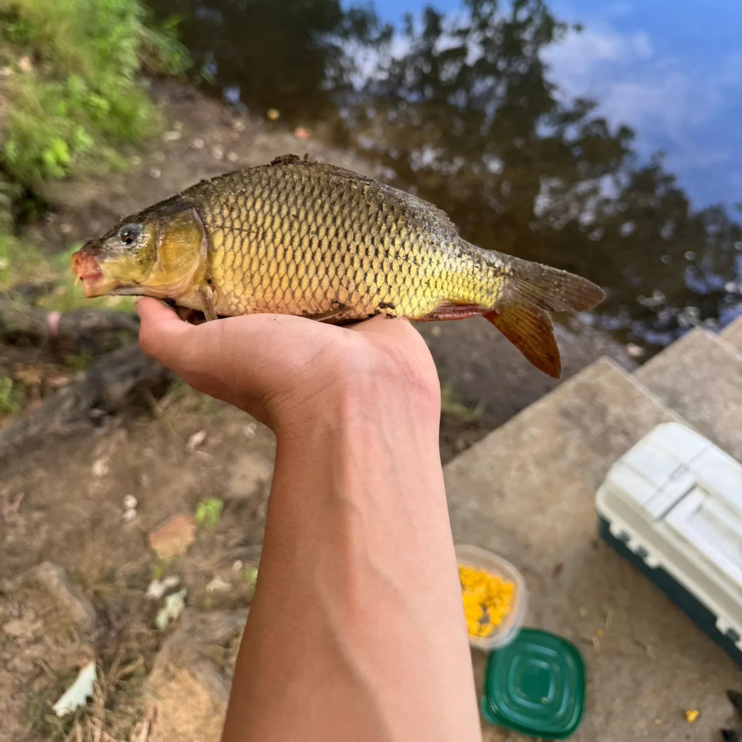 catch