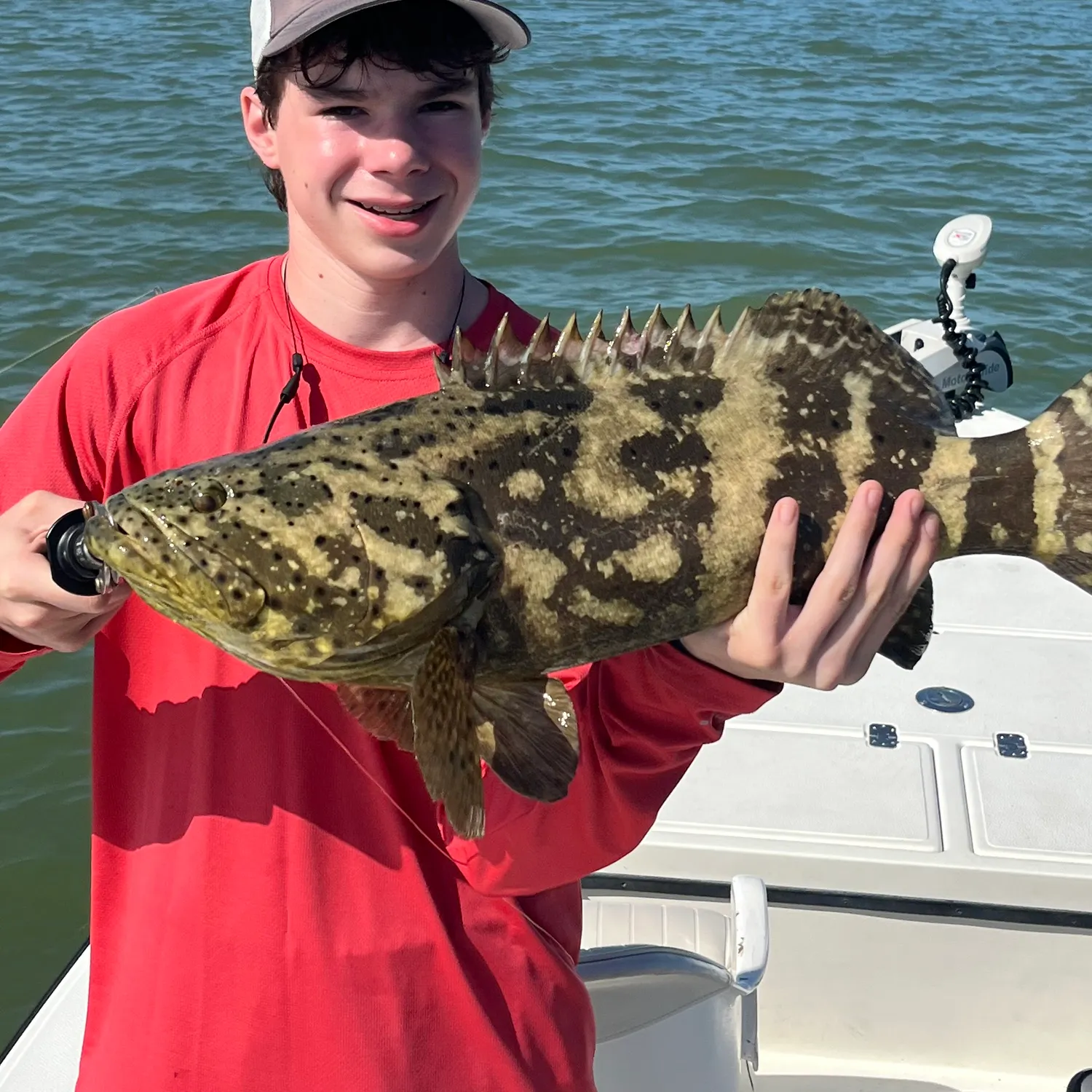 The most recent Atlantic goliath grouper catches on Fishbrain
