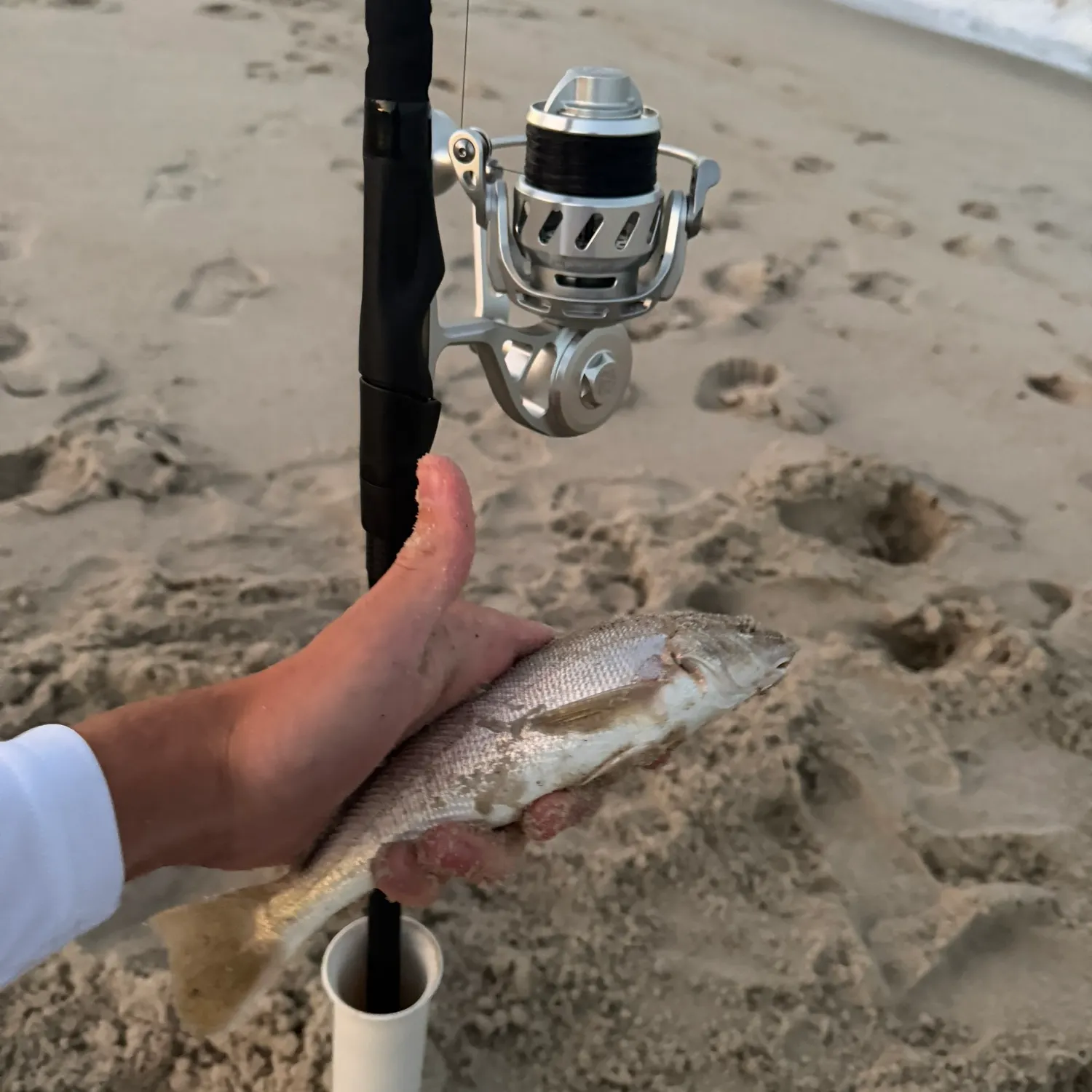 Gulf kingcroaker caught on Fishbrain