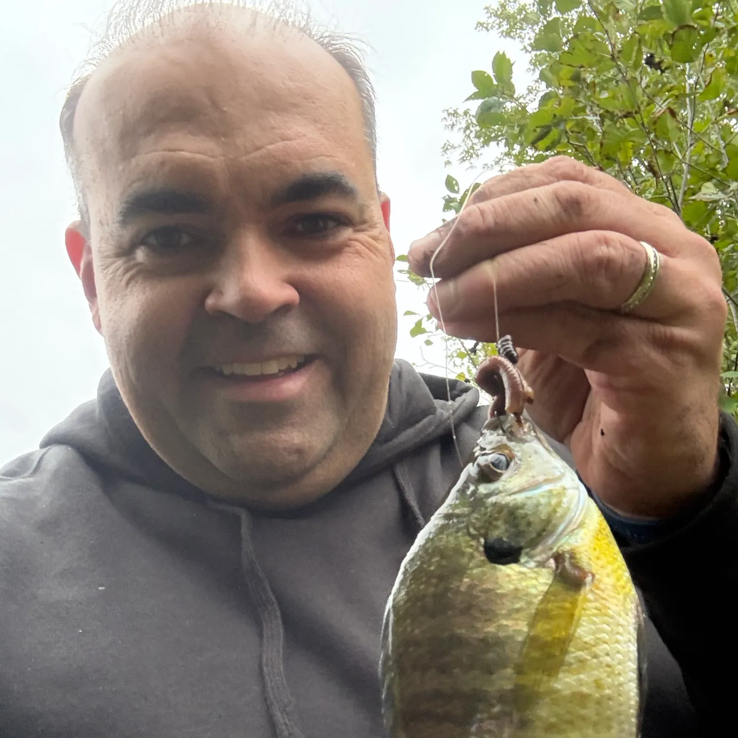 Bluegill caught on Fishbrain