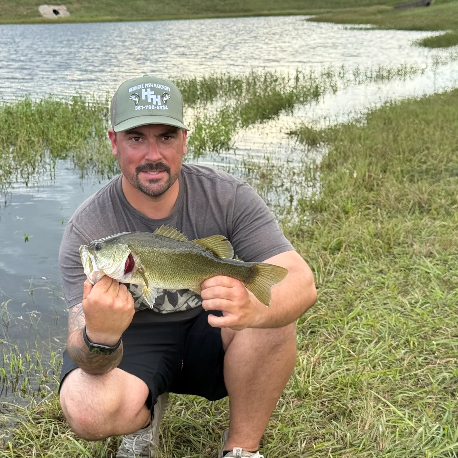 Largemouth bass caught on Fishbrain