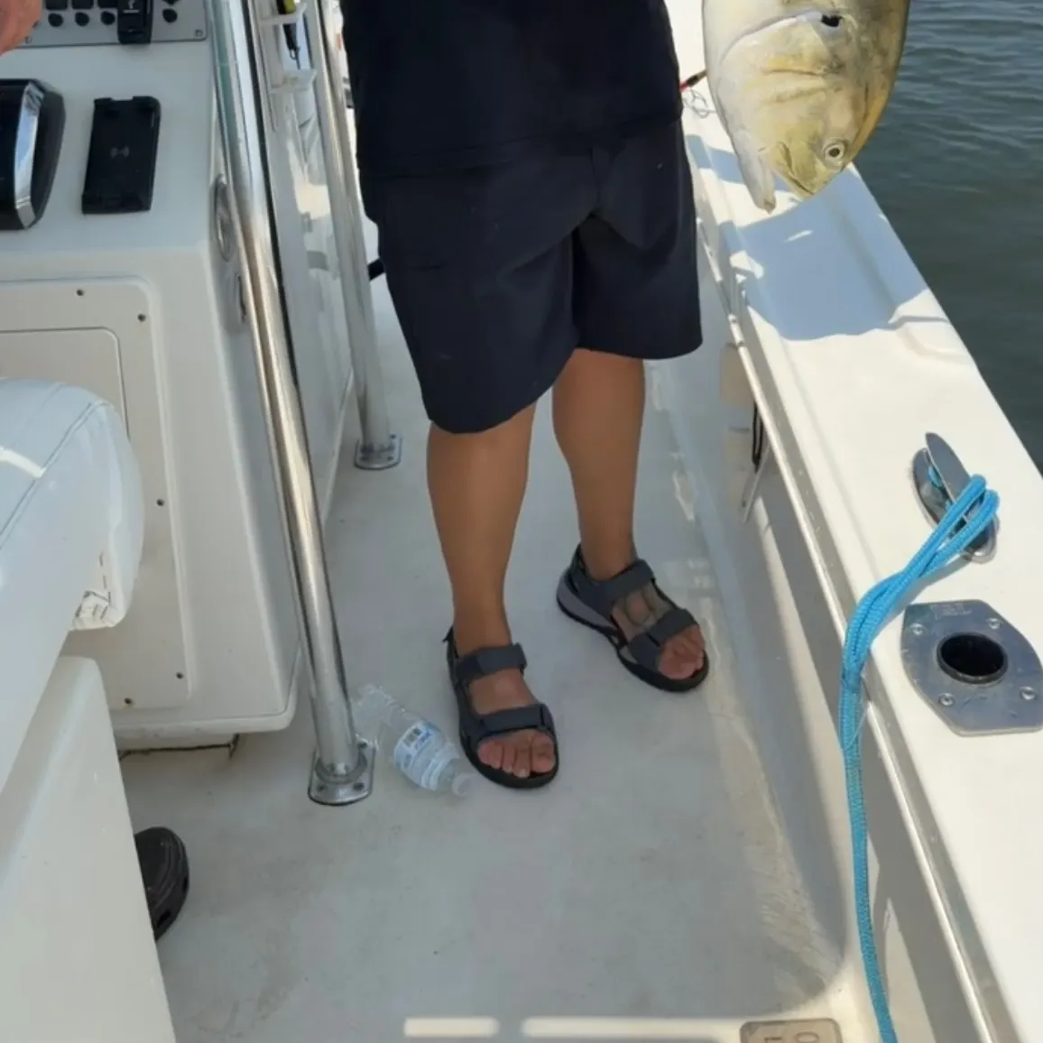Crevalle jack caught on Fishbrain