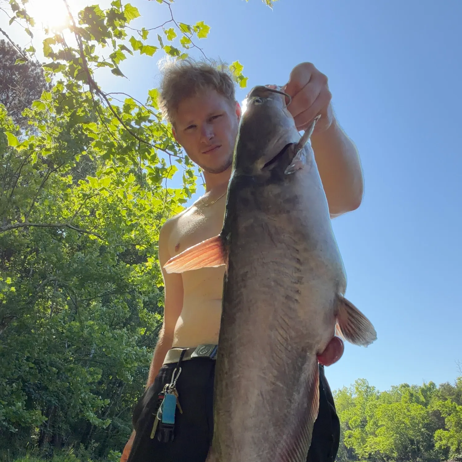 catch